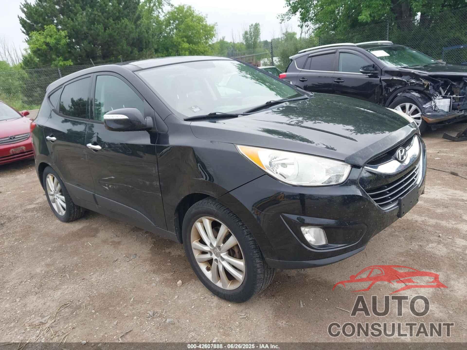 HYUNDAI TUCSON 2011 - KM8JUCAC0BU251661