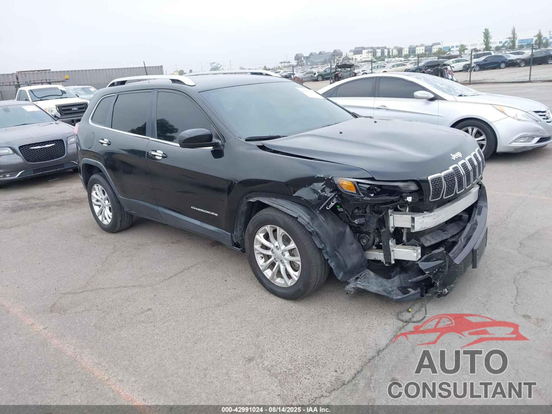 JEEP CHEROKEE 2019 - 1C4PJLCB7KD479362