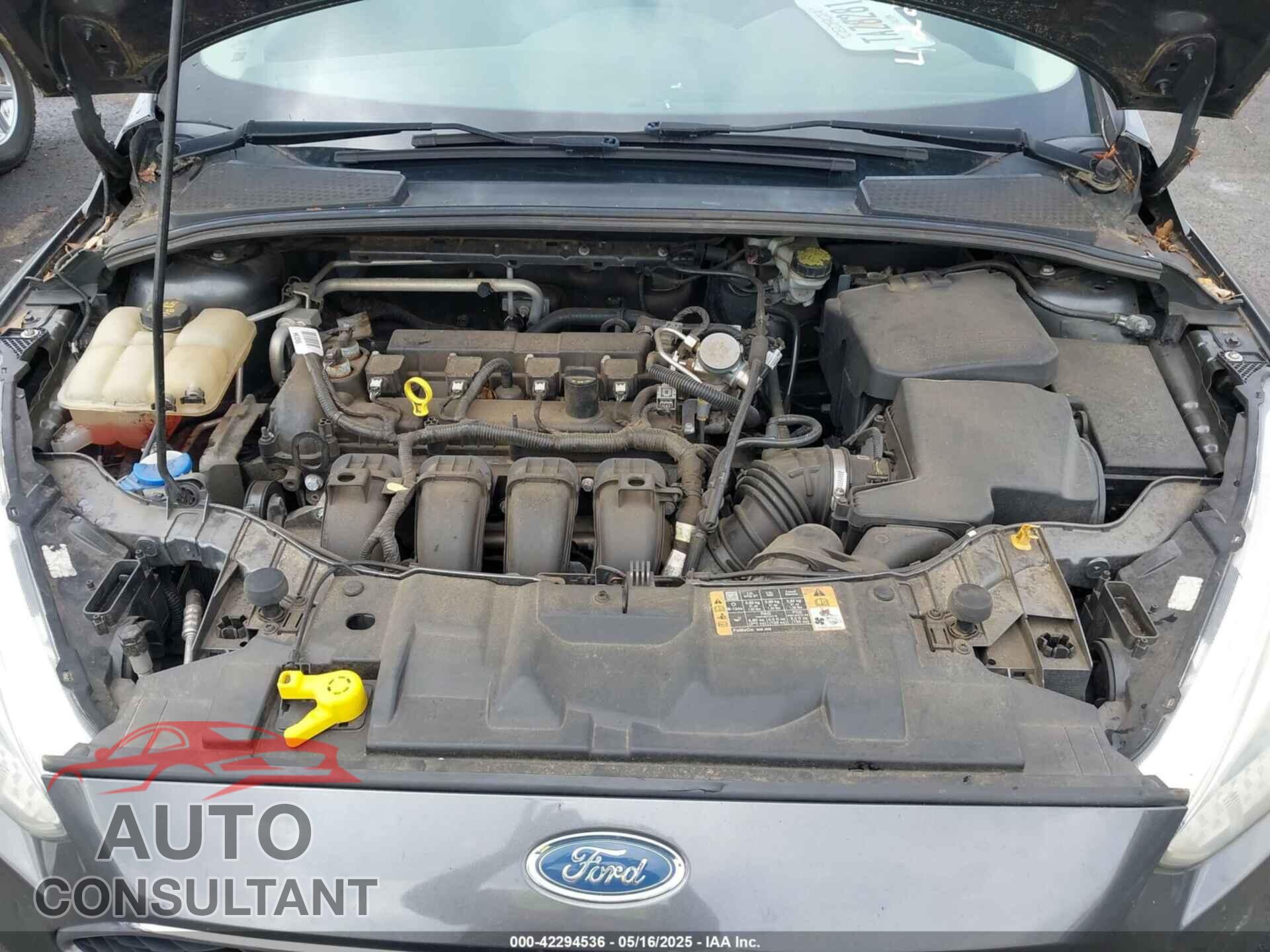 FORD FOCUS 2016 - 1FADP3F24GL353945