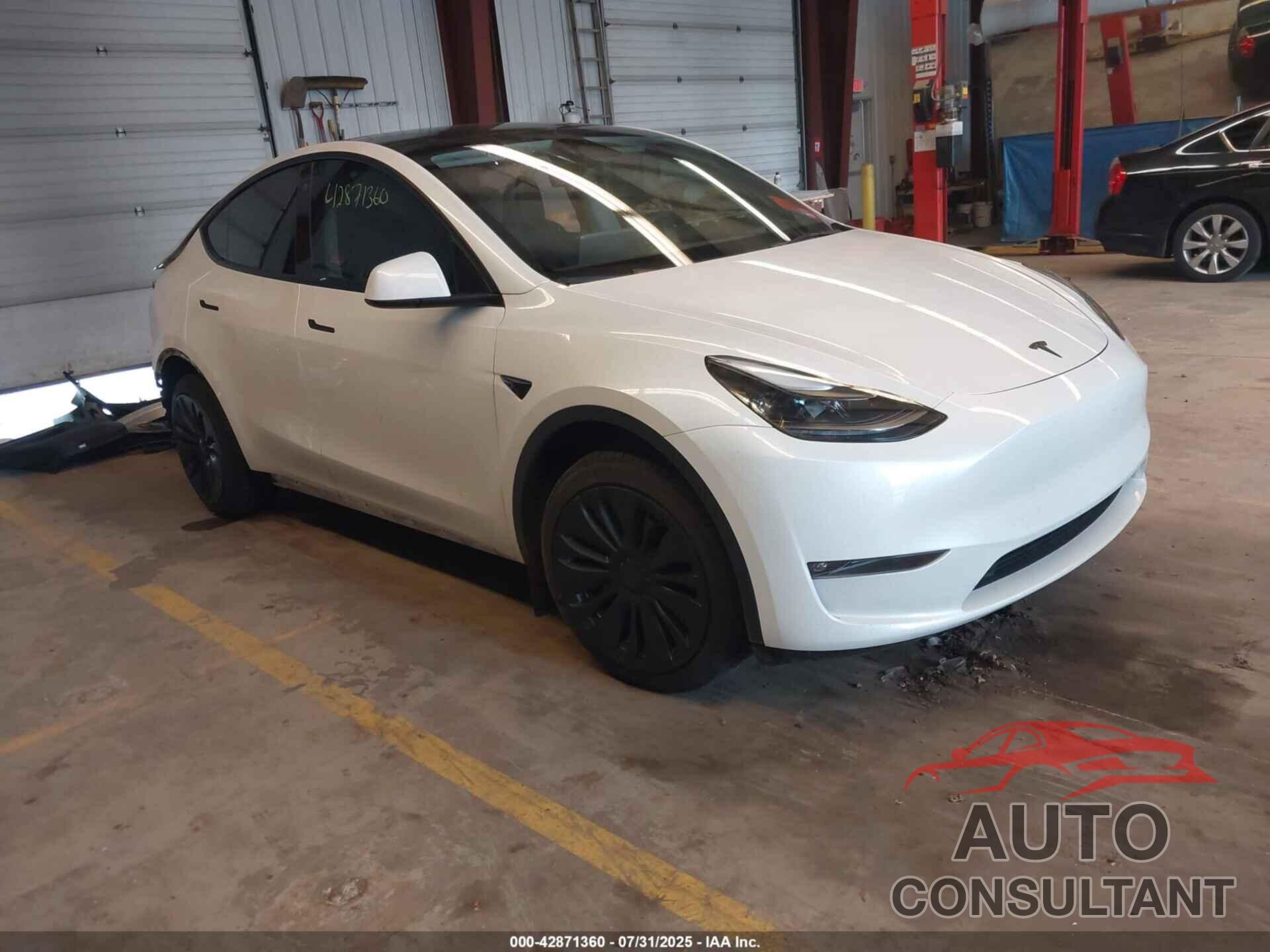 TESLA MODEL Y 2023 - 7SAYGAEE9PF768518
