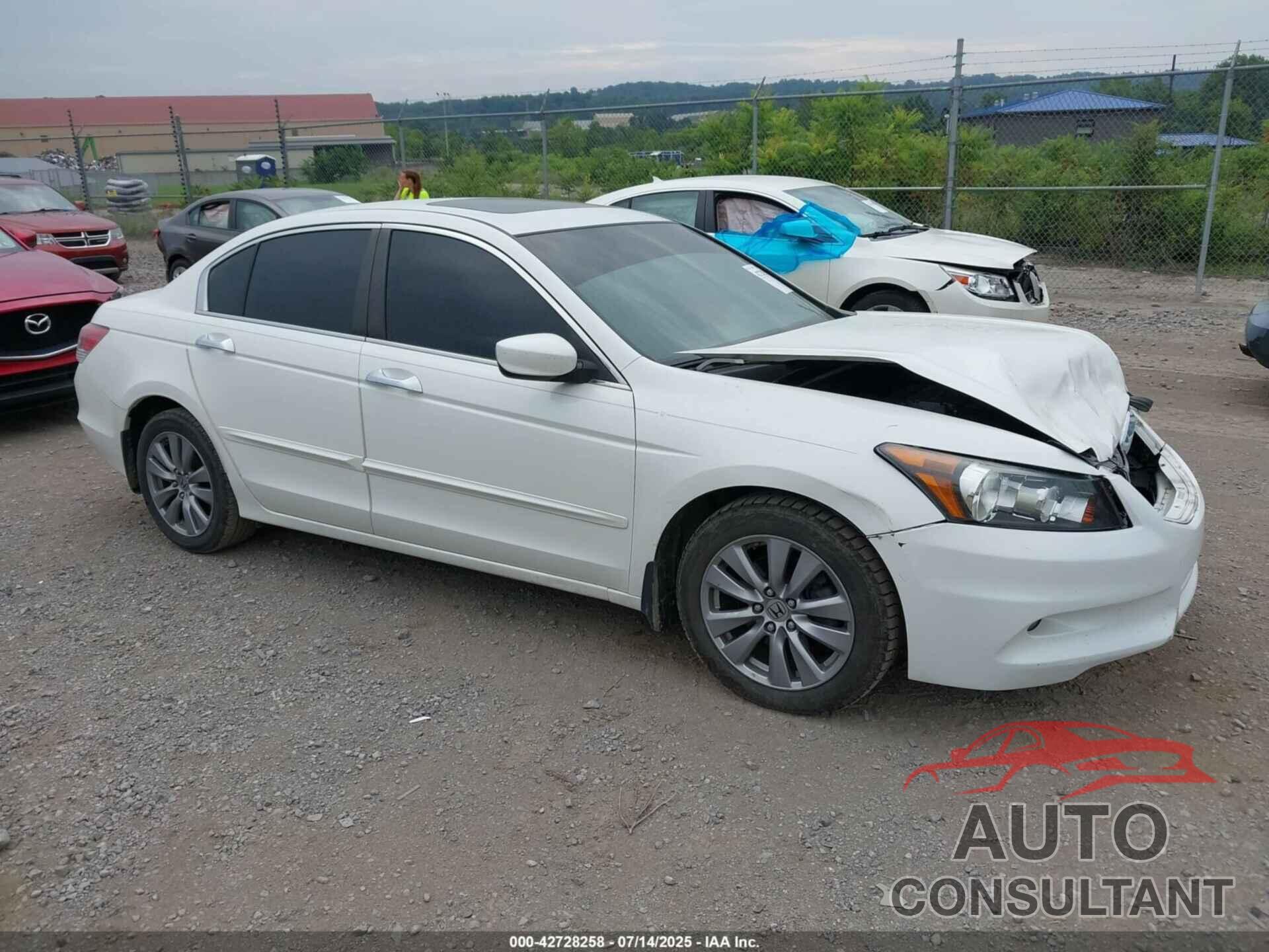 HONDA ACCORD 2011 - 1HGCP3F80BA030444