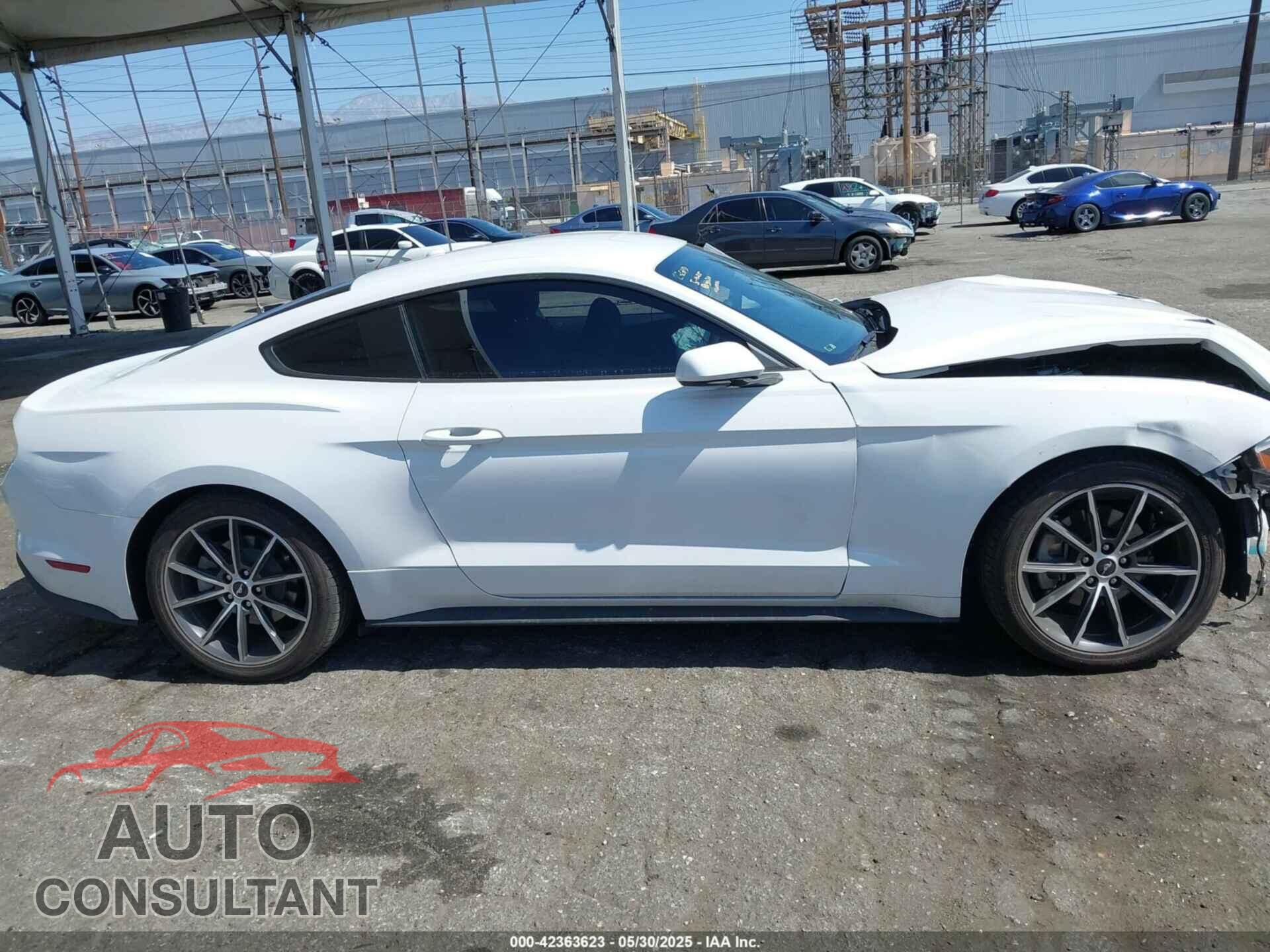 FORD MUSTANG 2019 - 1FA6P8TH3K5123485
