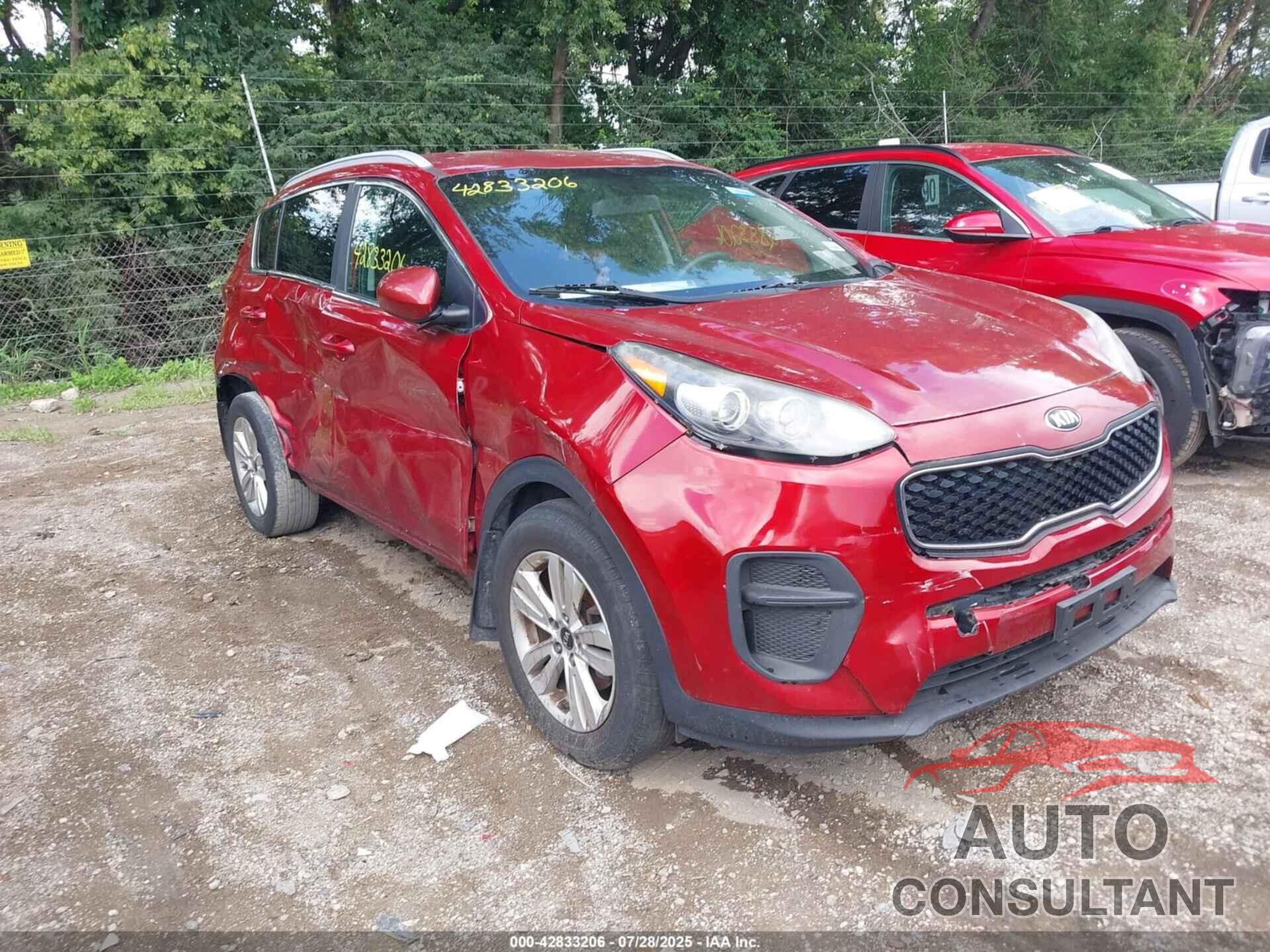 KIA SPORTAGE 2017 - KNDPM3AC1H7236687
