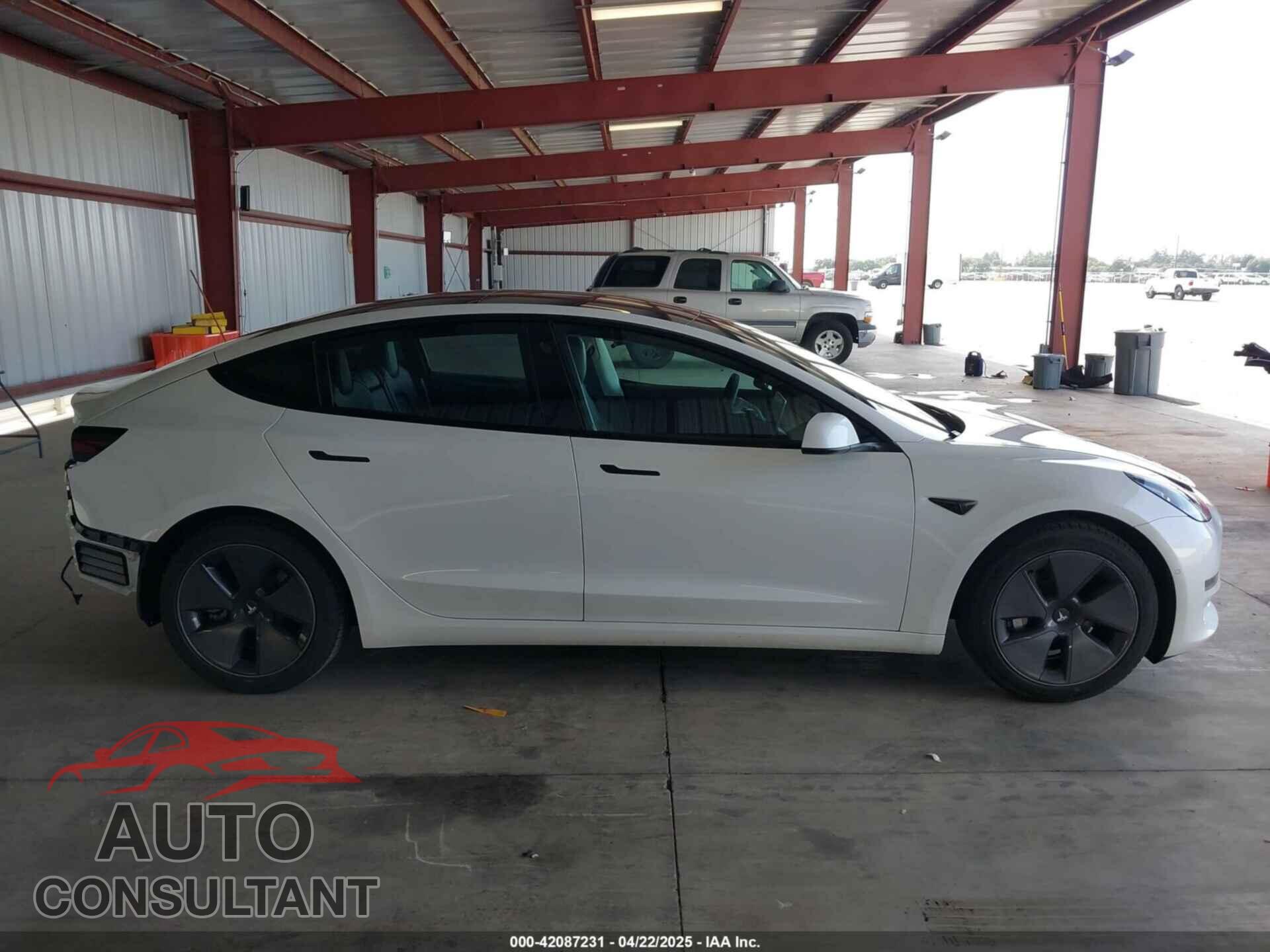 TESLA MODEL 3 2021 - 5YJ3E1EA2MF877005