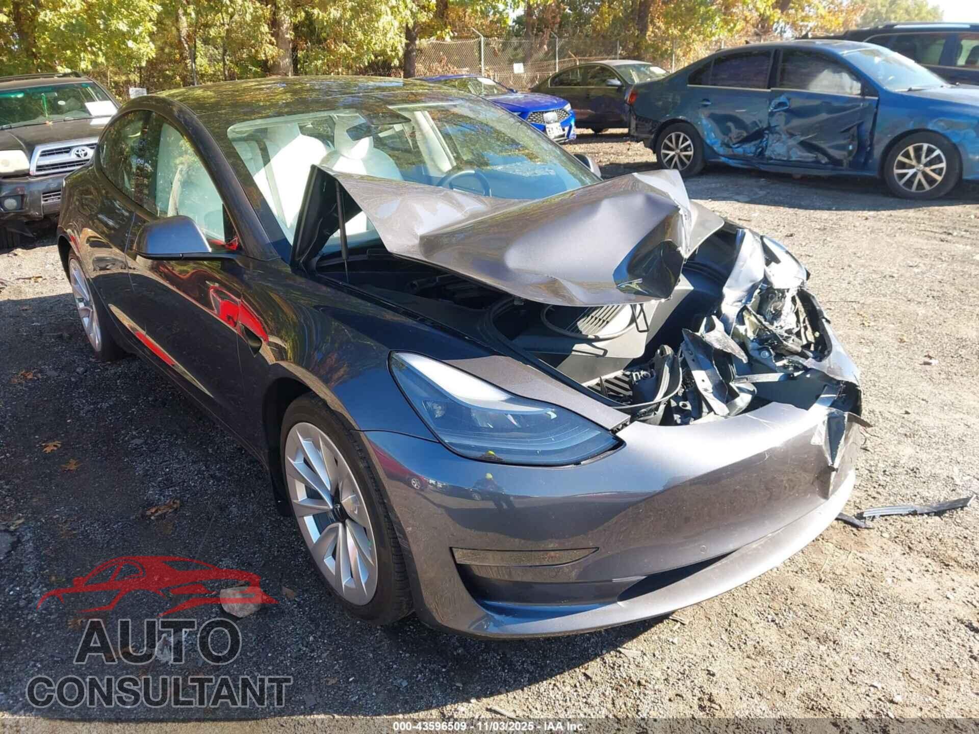 TESLA MODEL 3 2021 - 5YJ3E1EA8MF869975