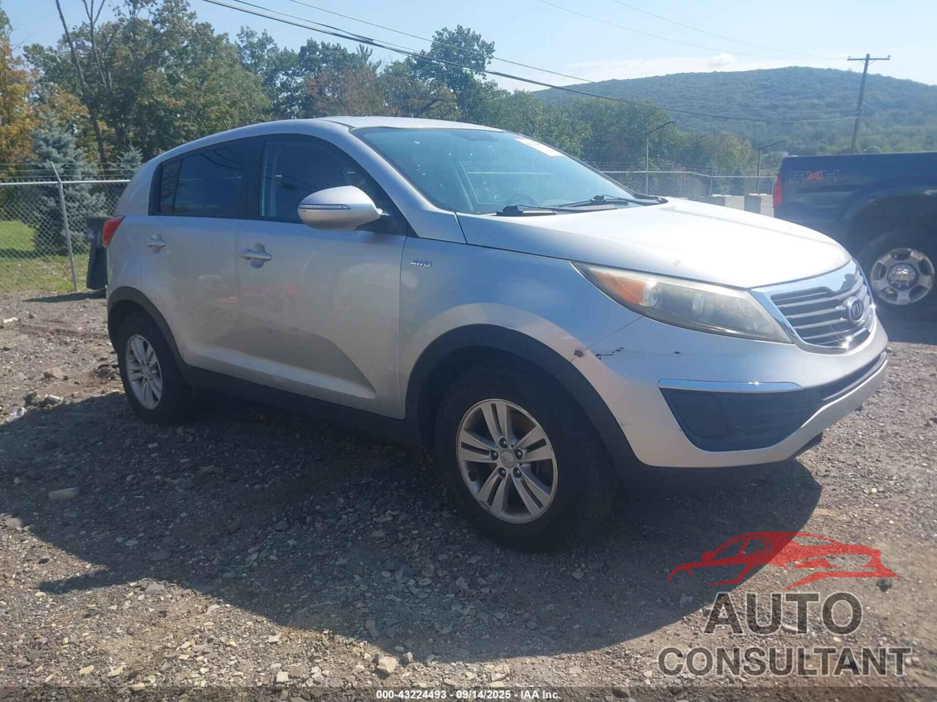 KIA SPORTAGE 2011 - KNDPBCA25B7095515