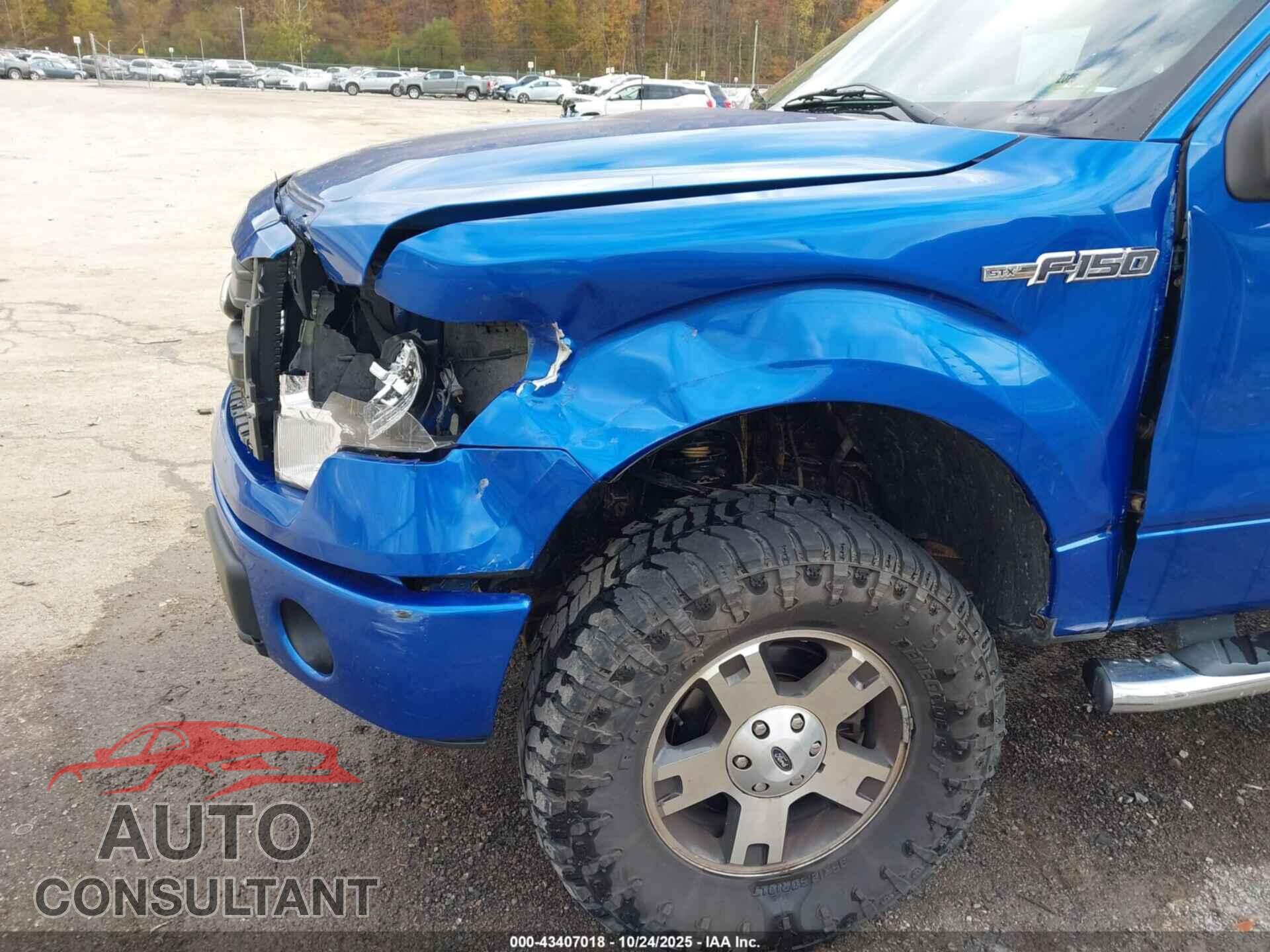 FORD F-150 2013 - 1FTFX1EF2DFD70202