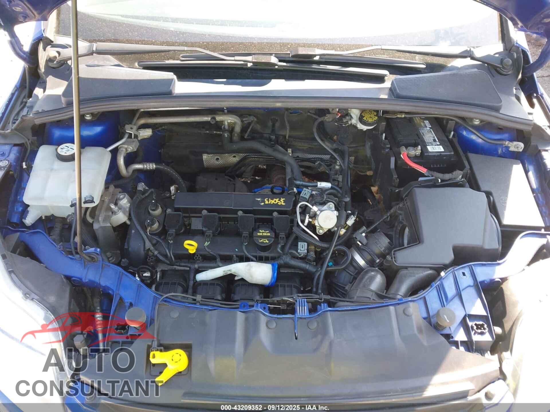 FORD FOCUS 2012 - 1FAHP3F29CL391876