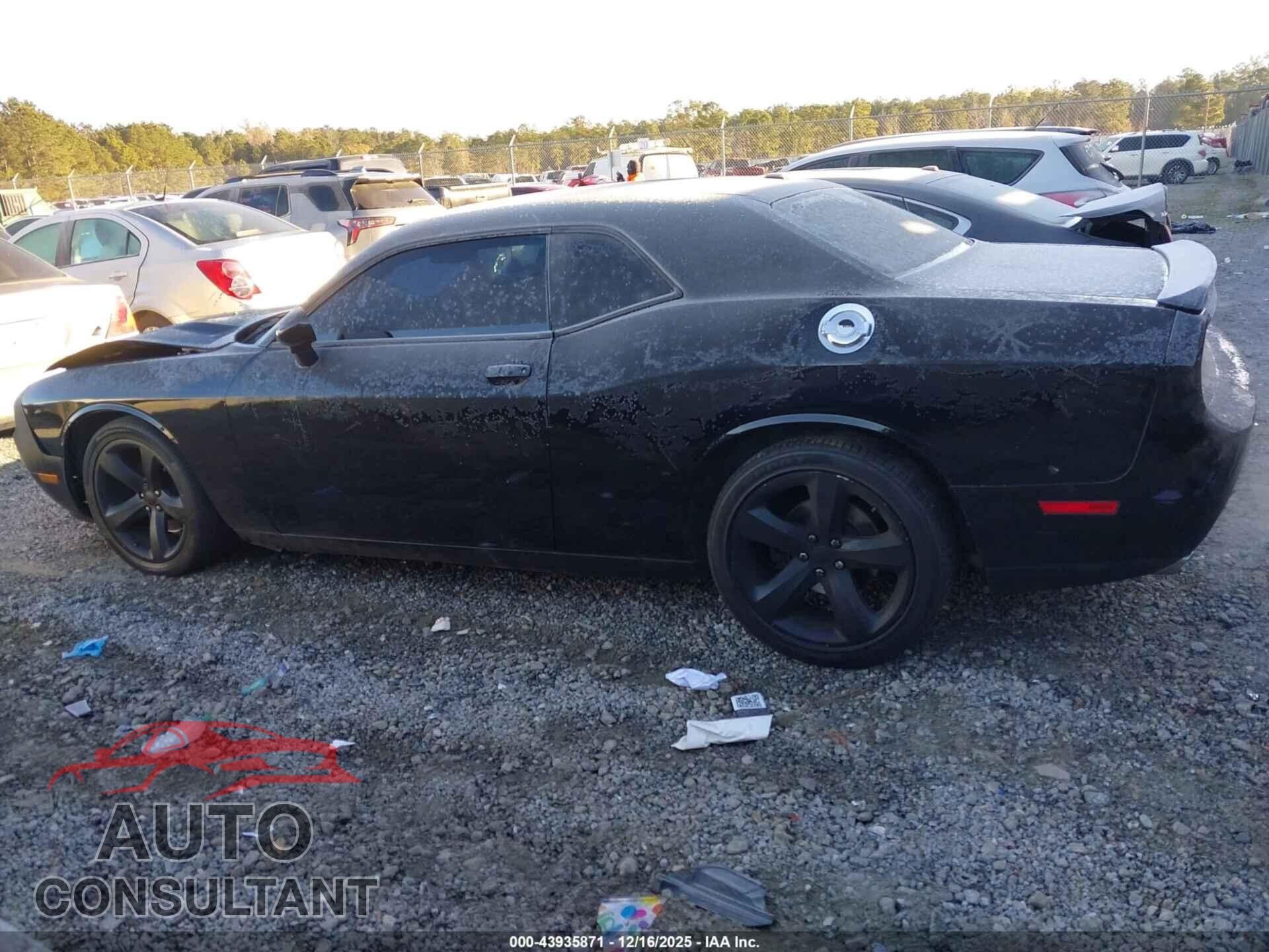DODGE CHALLENGER 2013 - 2C3CDYAG2DH651888