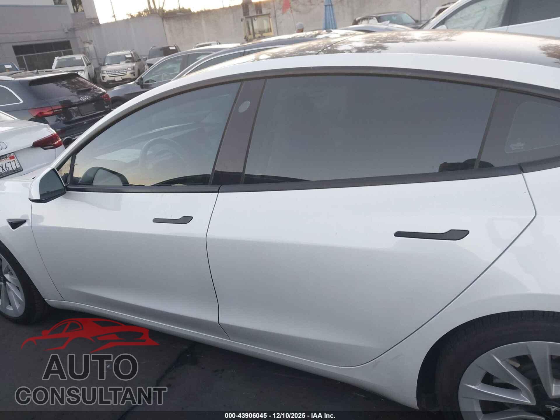 TESLA MODEL 3 2021 - 5YJ3E1EA1MF065954