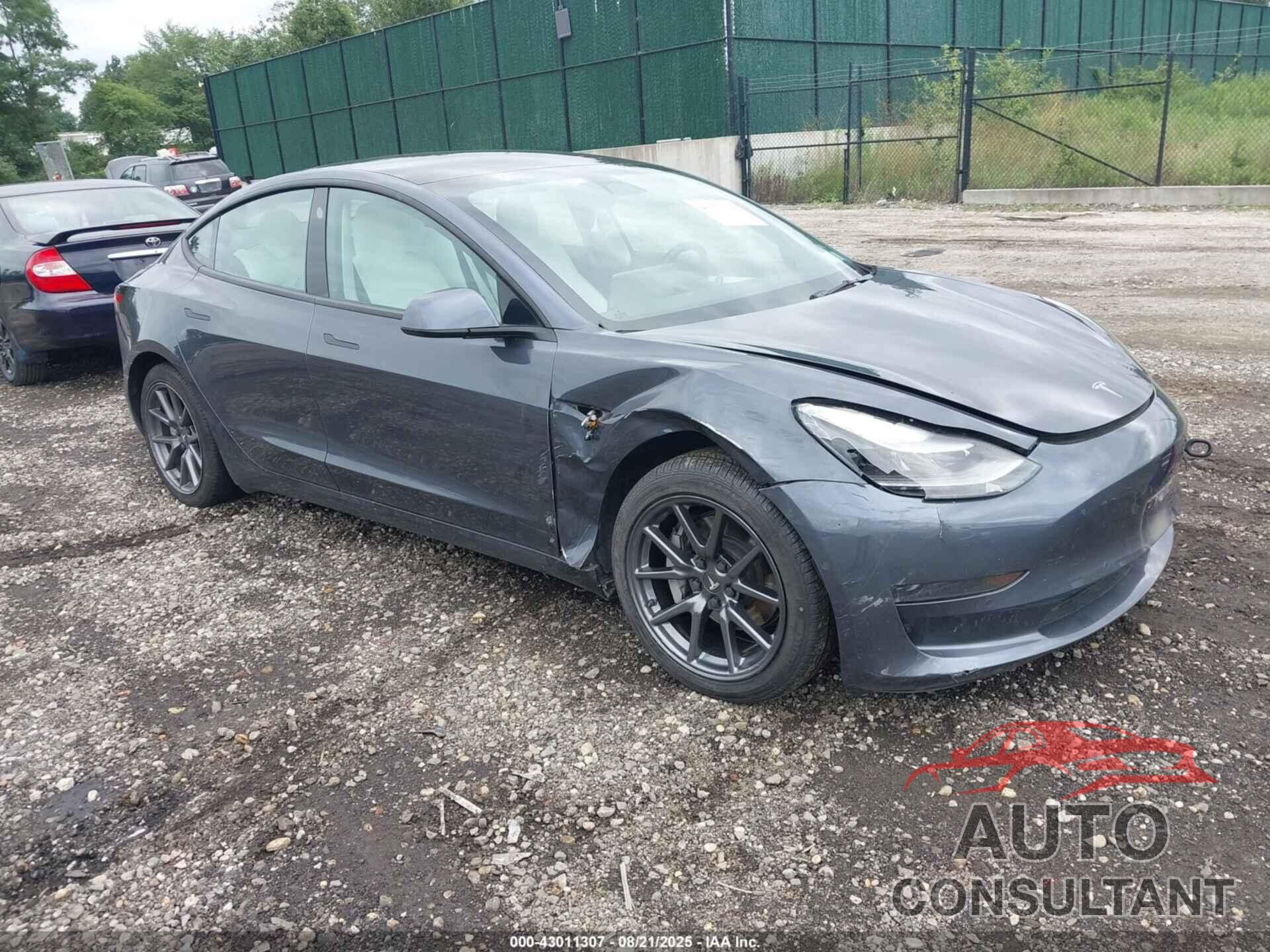 TESLA MODEL 3 2022 - 5YJ3E1EA0NF174276