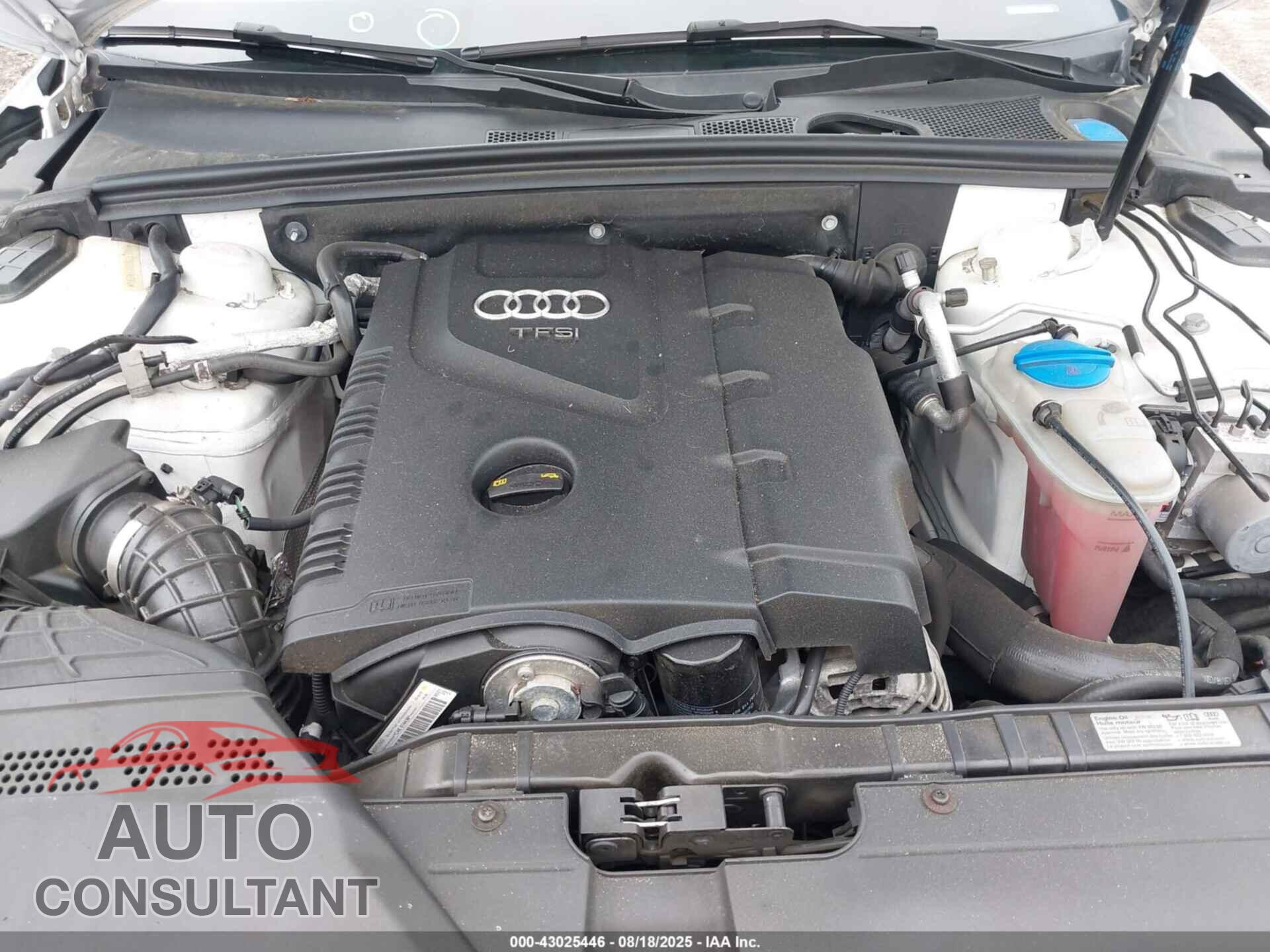 AUDI A4 2009 - WAULF78K89A136584