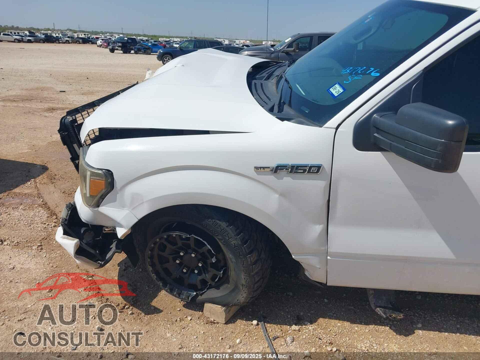 FORD F-150 2013 - 1FTFX1CF1DFB97971