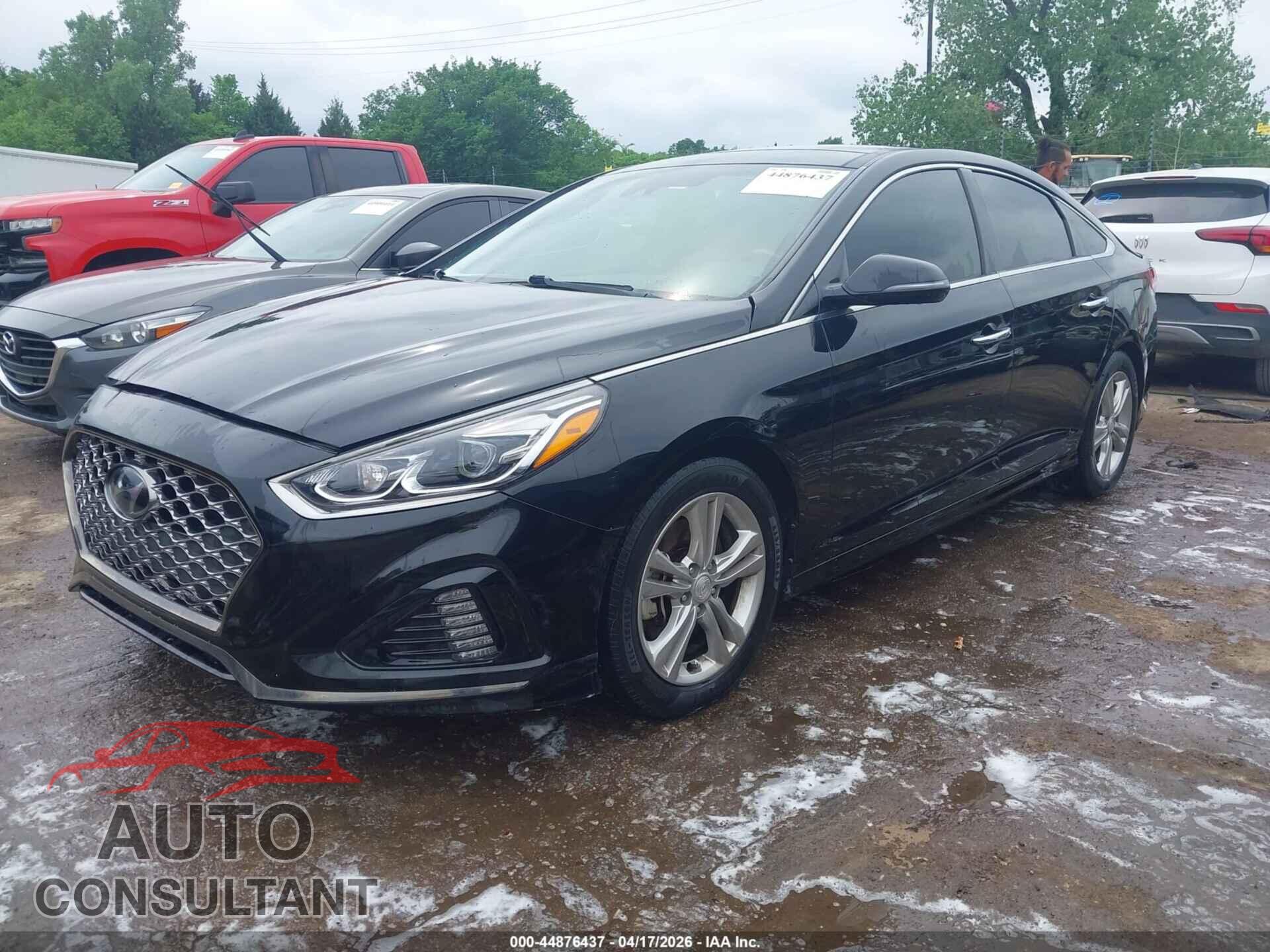 HYUNDAI SONATA 2019 - 5NPE34AF2KH771105