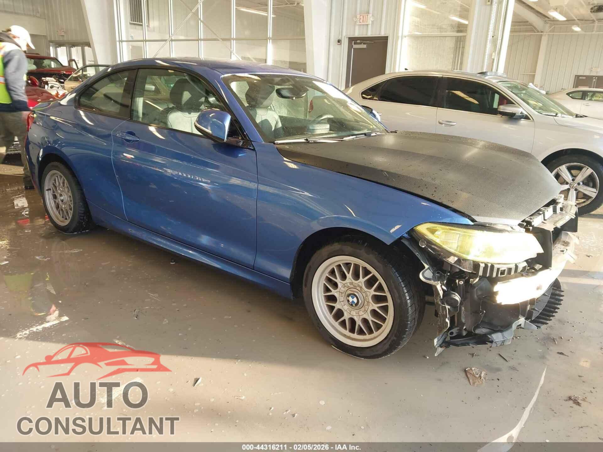 BMW 228I 2016 - WBA1F9C5XGV545597