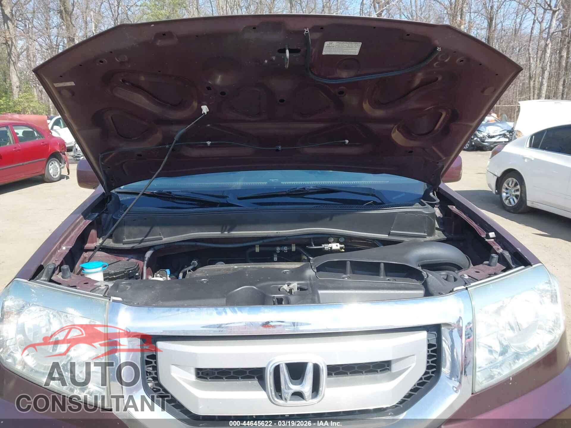 HONDA PILOT 2011 - 5FNYF4H6XBB011593