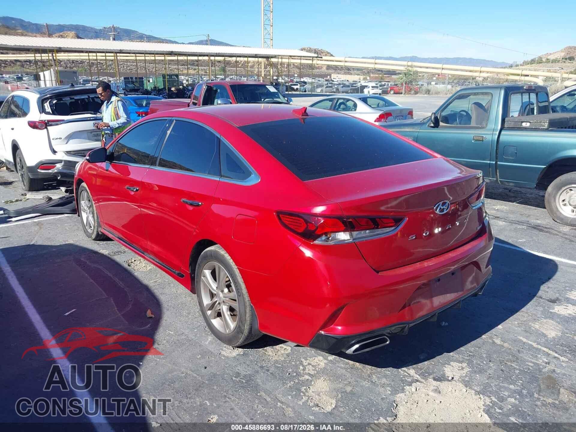 HYUNDAI SONATA 2019 - 5NPE34AF6KH821925