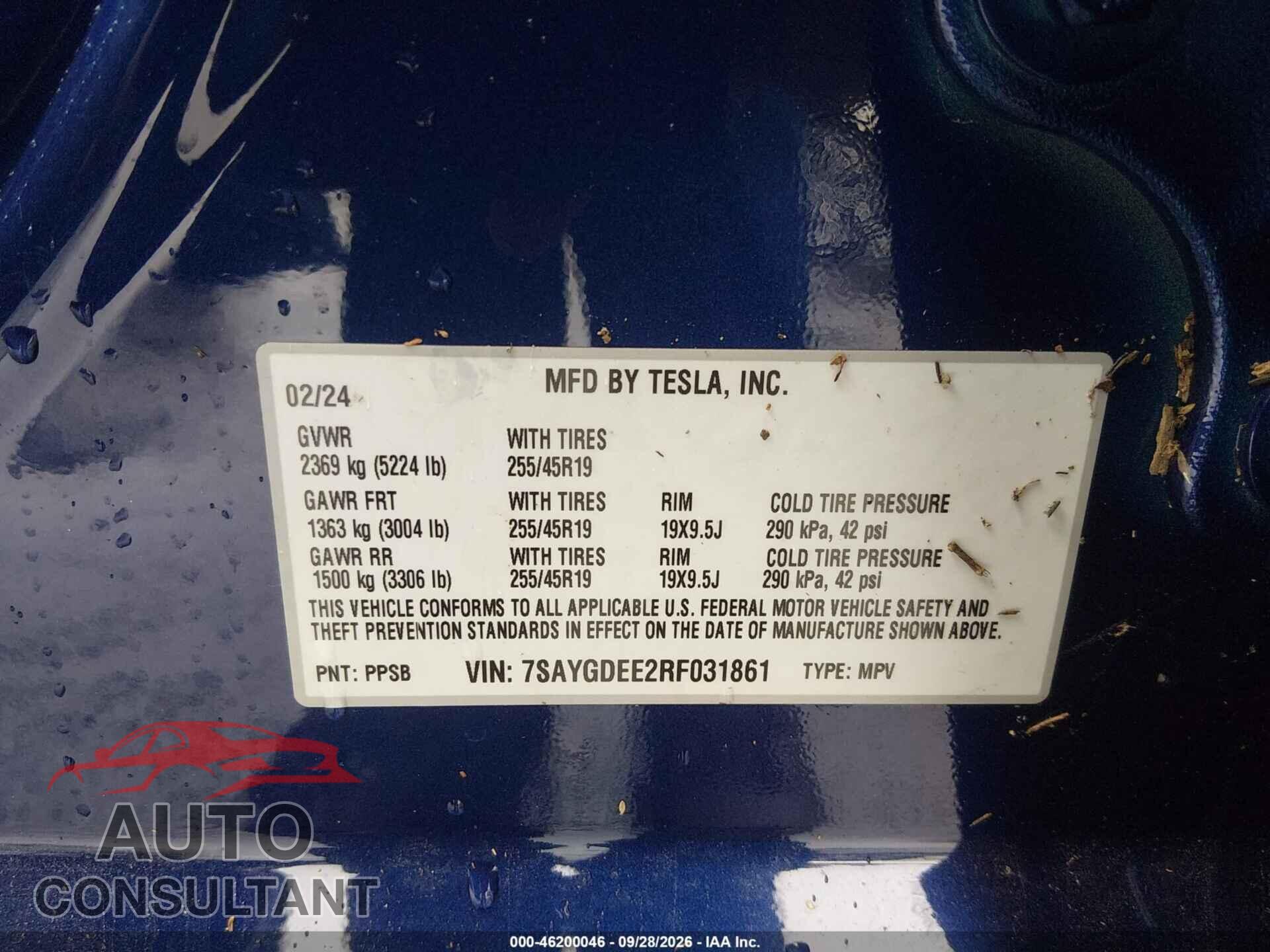 TESLA MODEL Y 2024 - 7SAYGDEE2RF031861