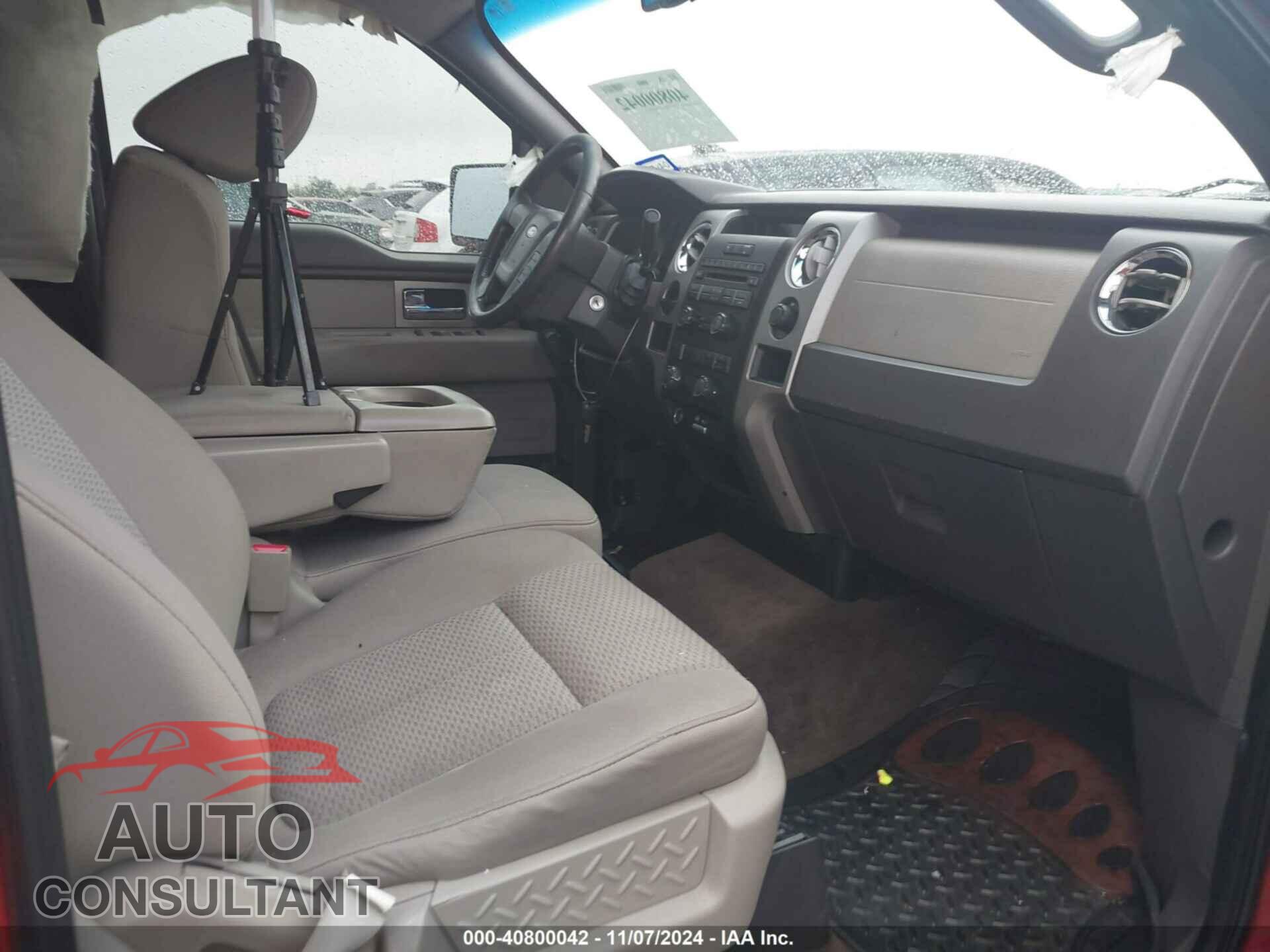 FORD F-150 2010 - 1FTEW1C82AFA21541