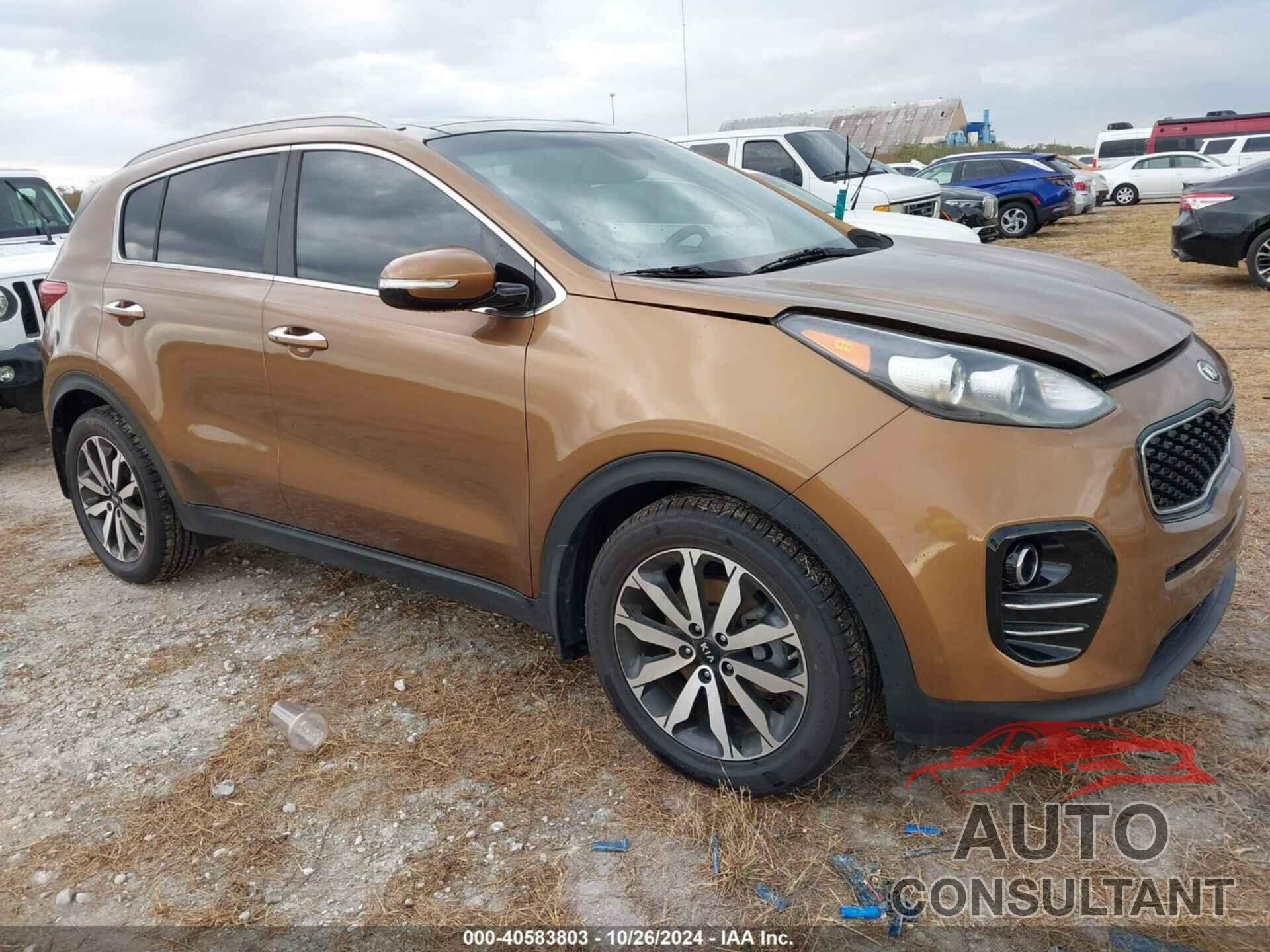 KIA SPORTAGE 2017 - KNDPN3AC5H7113374