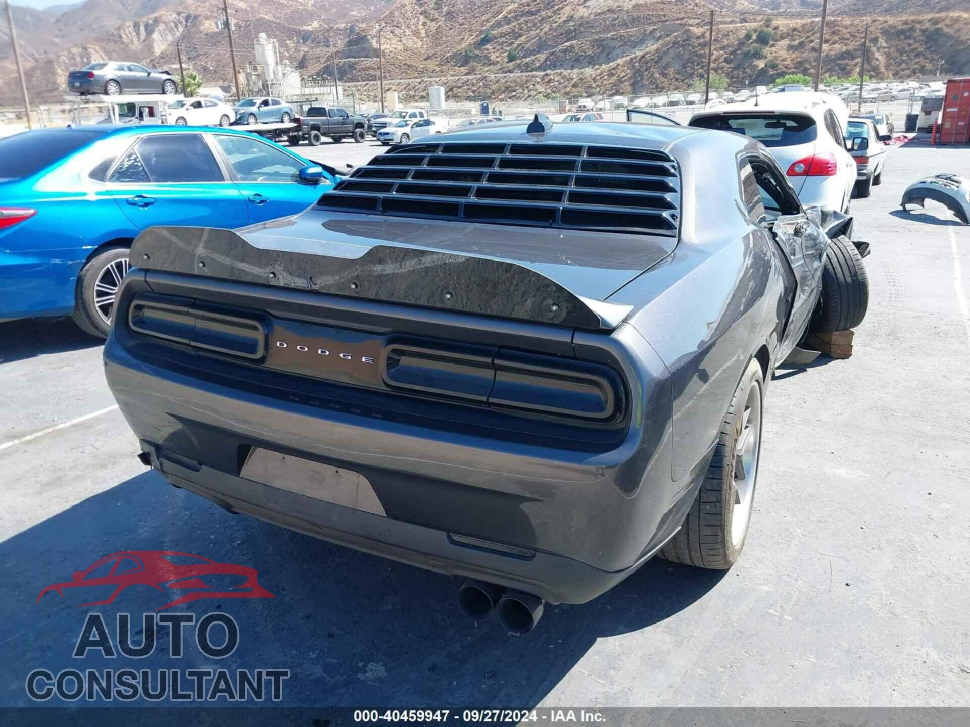 DODGE CHALLENGER 2019 - 2C3CDZBT9KH616165