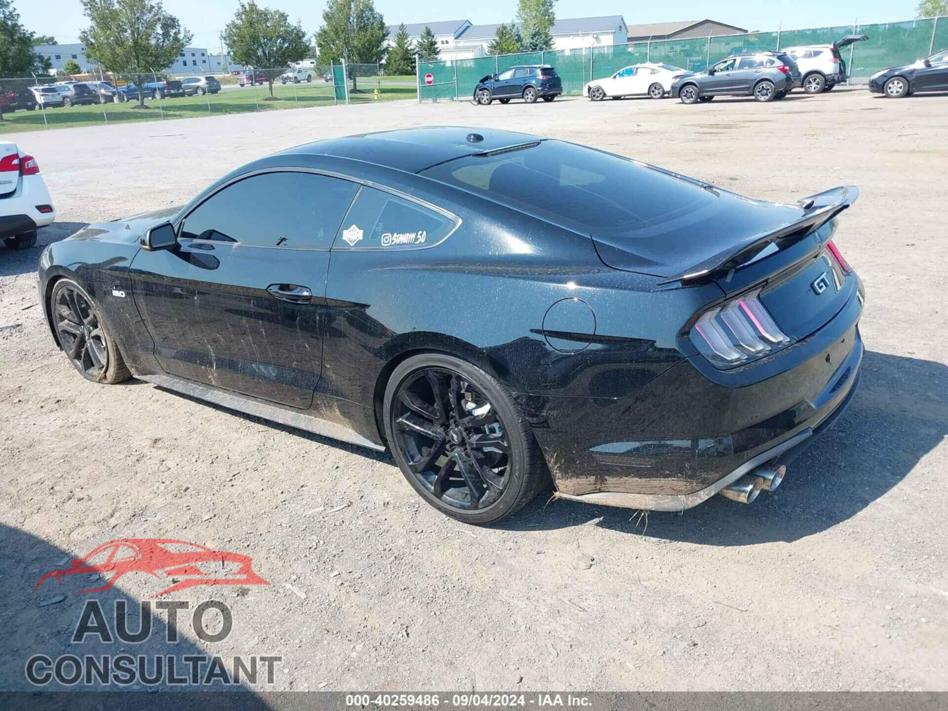 FORD MUSTANG 2019 - 1FA6P8CF3K5177092