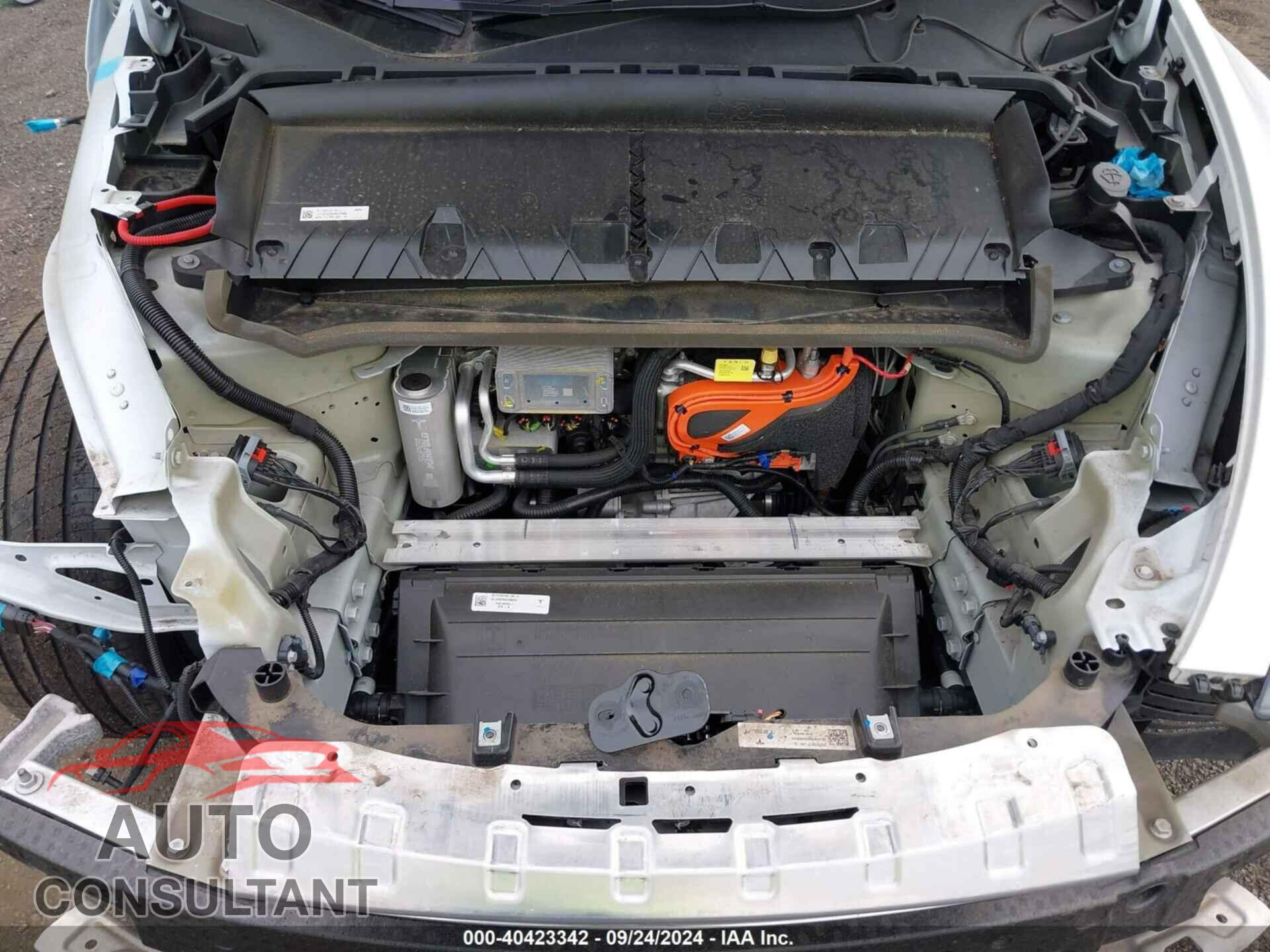 TESLA MODEL Y 2023 - 7SAYGAEEXPF695529
