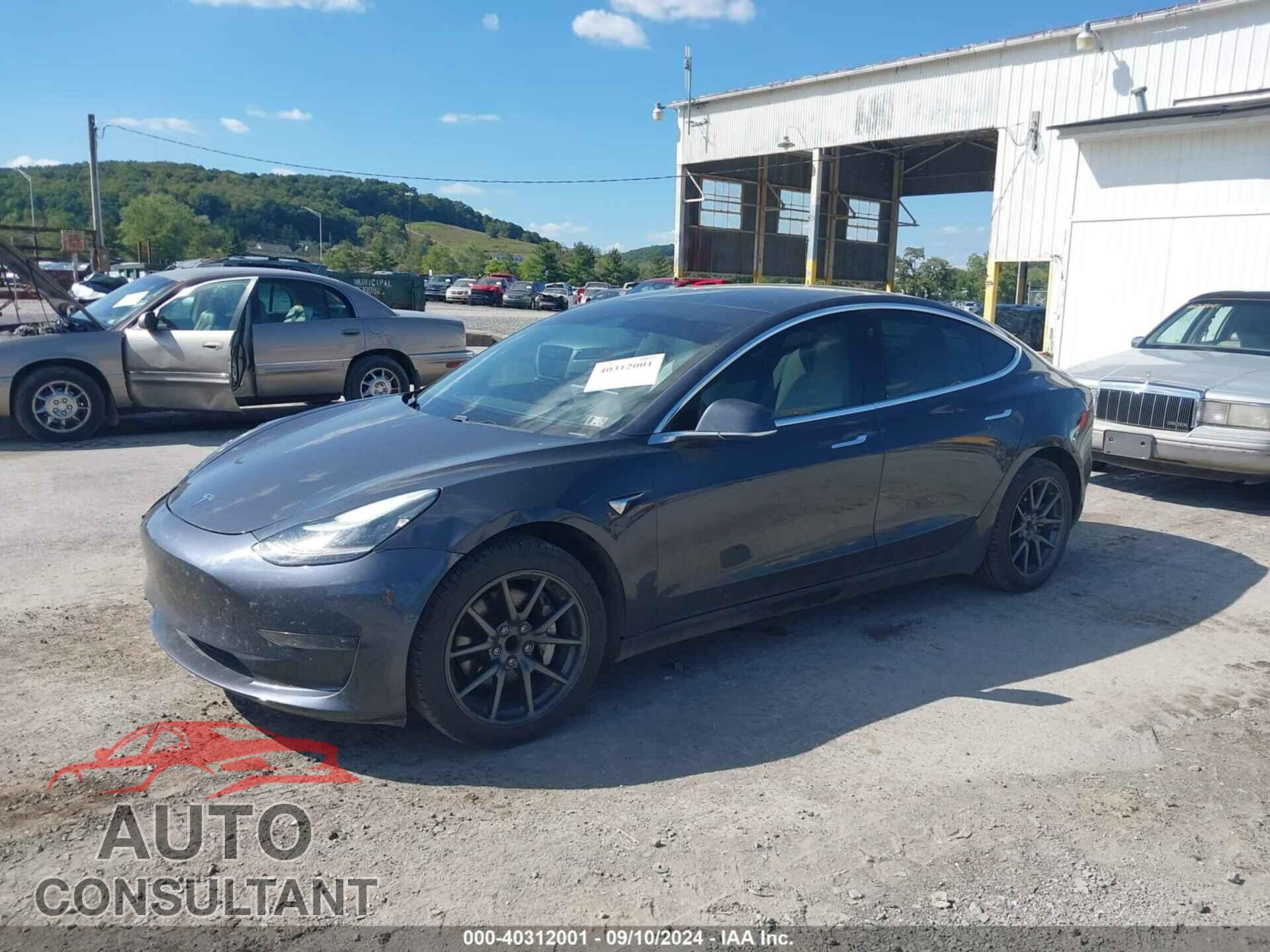 TESLA MODEL 3 2019 - 5YJ3E1EA3KF431538