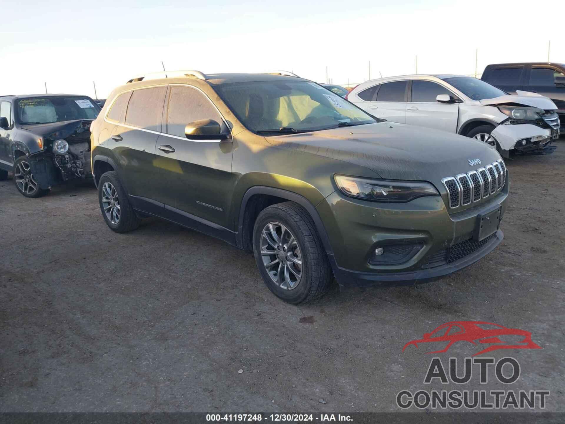 JEEP CHEROKEE 2019 - 1C4PJLLN0KD164168