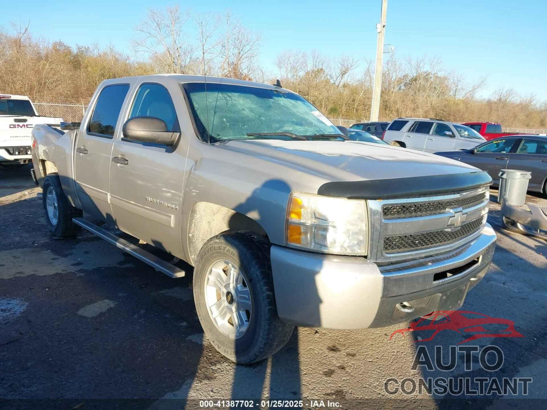 CHEVROLET SILVERADO 1500 2009 - 3GCEK23M69G149466