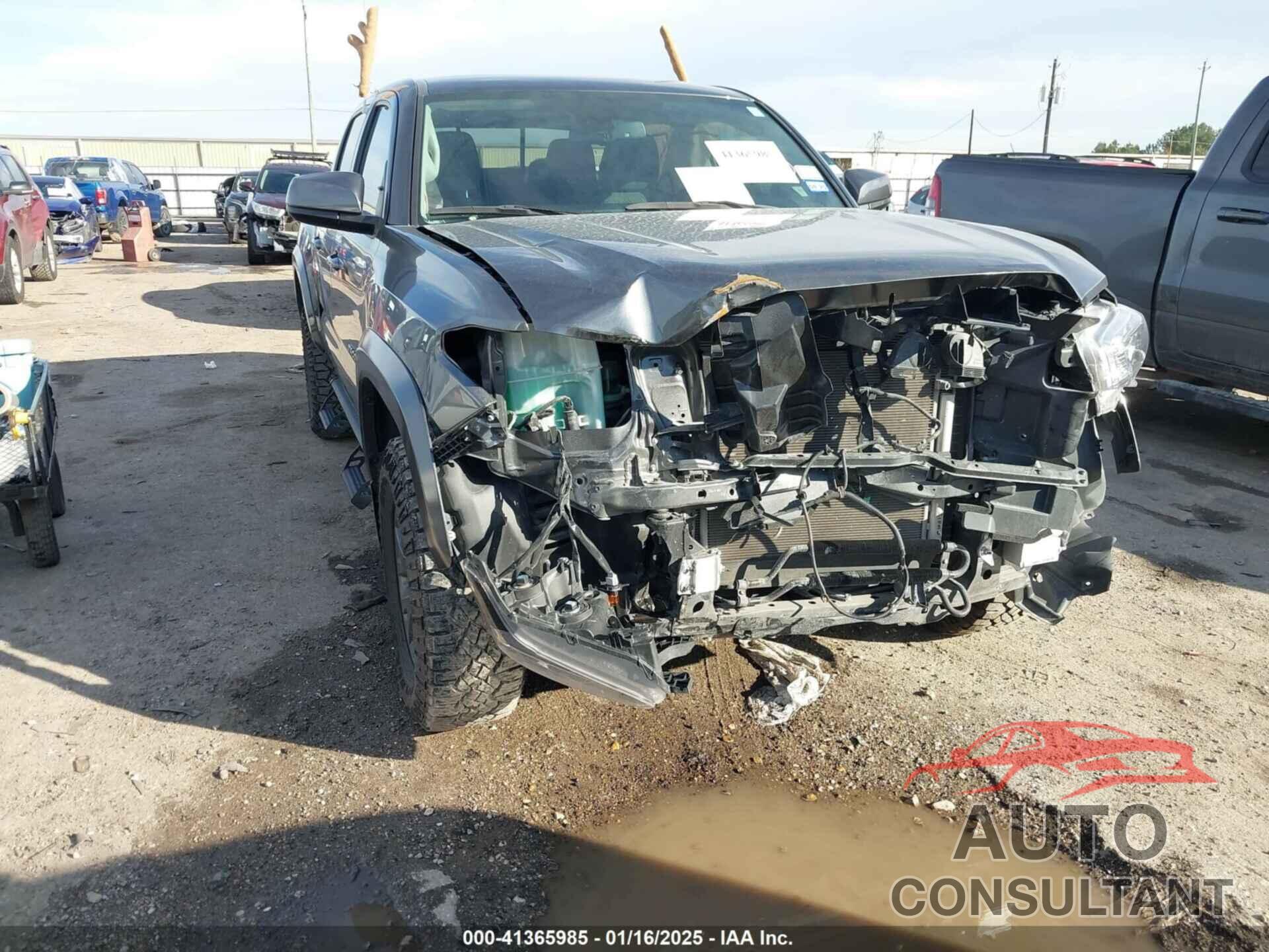TOYOTA TACOMA 2023 - 3TMAZ5CN2PM202411