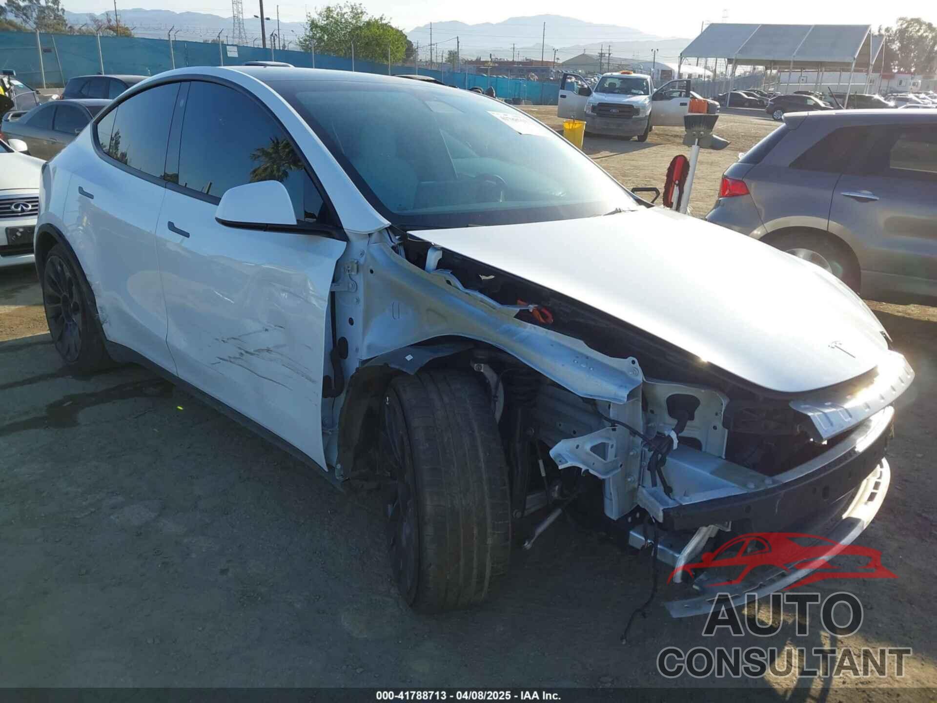 TESLA MODEL Y 2022 - 7SAYGDEF8NF404002