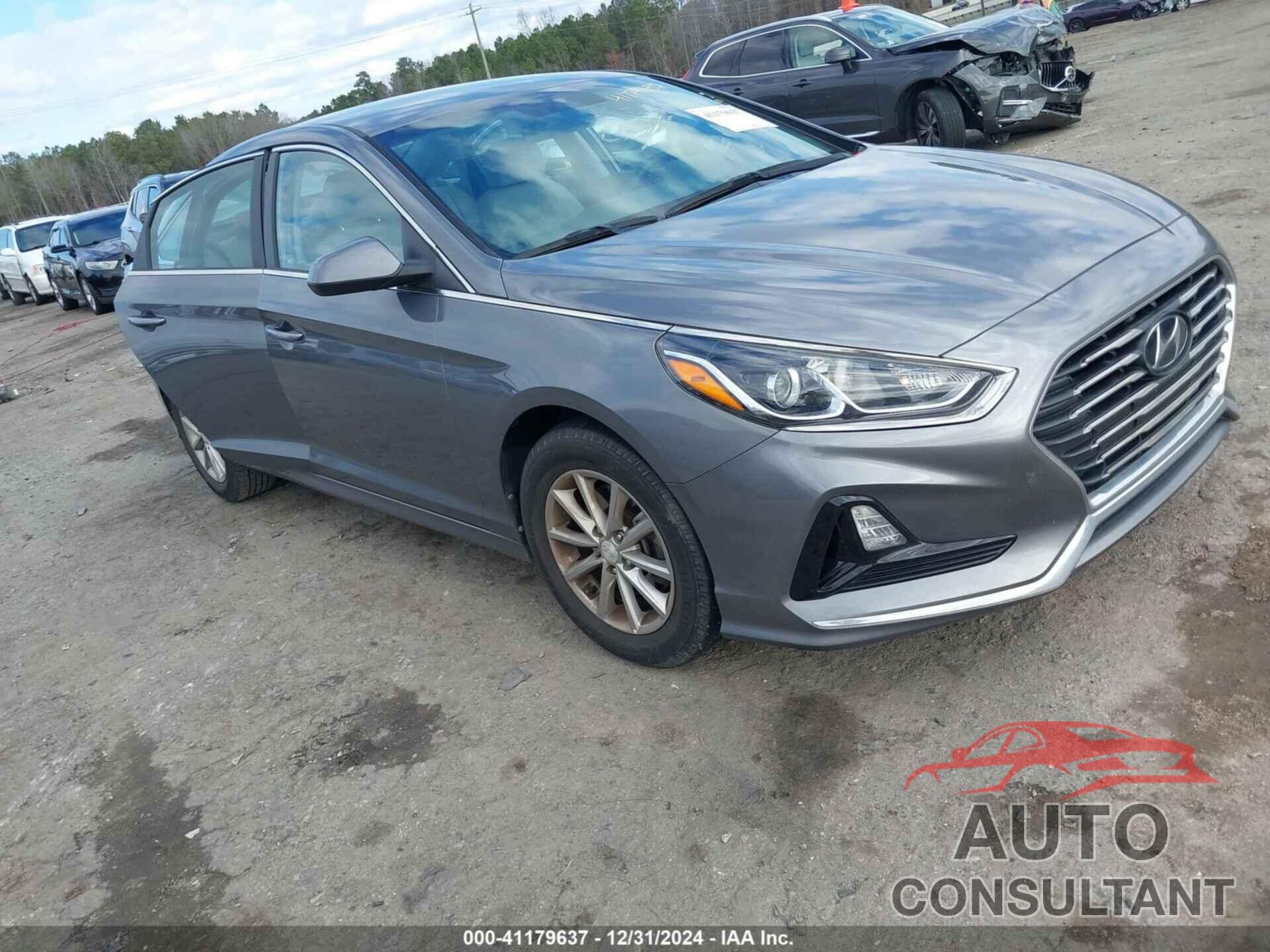 HYUNDAI SONATA 2019 - 5NPE24AF8KH800304