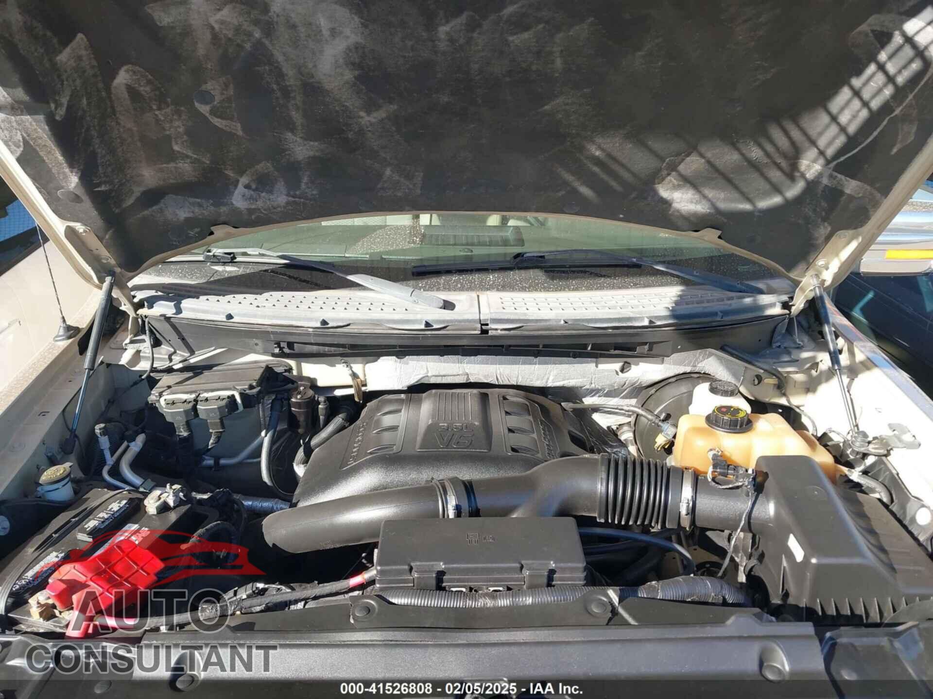 FORD F-150 2013 - 1FTFX1CT2DFA80065