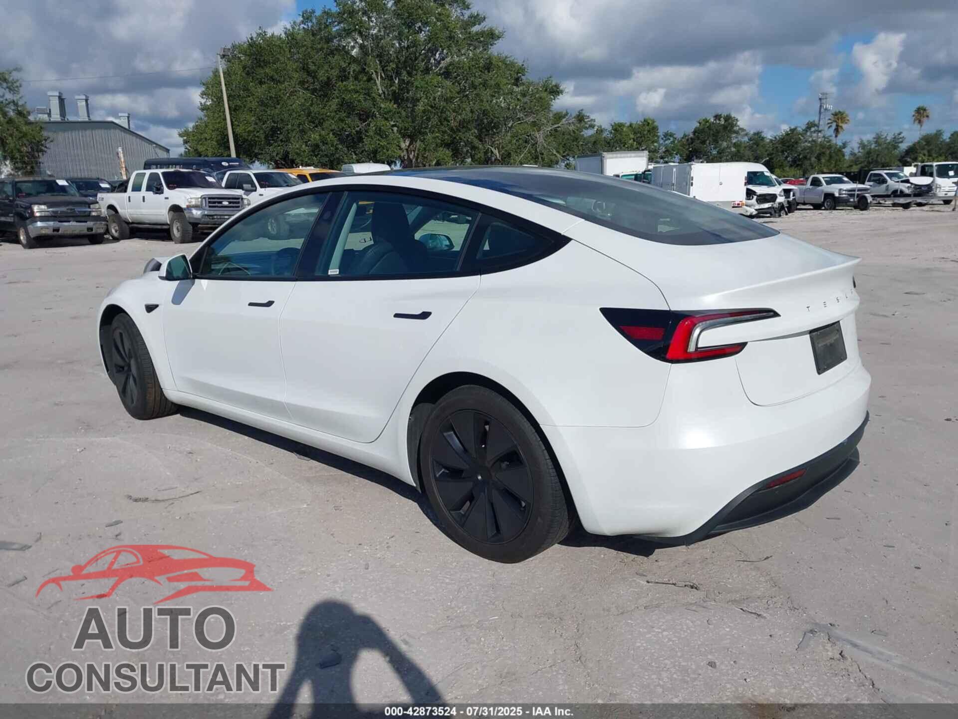 TESLA MODEL 3 2024 - 5YJ3E1EA1RF755761