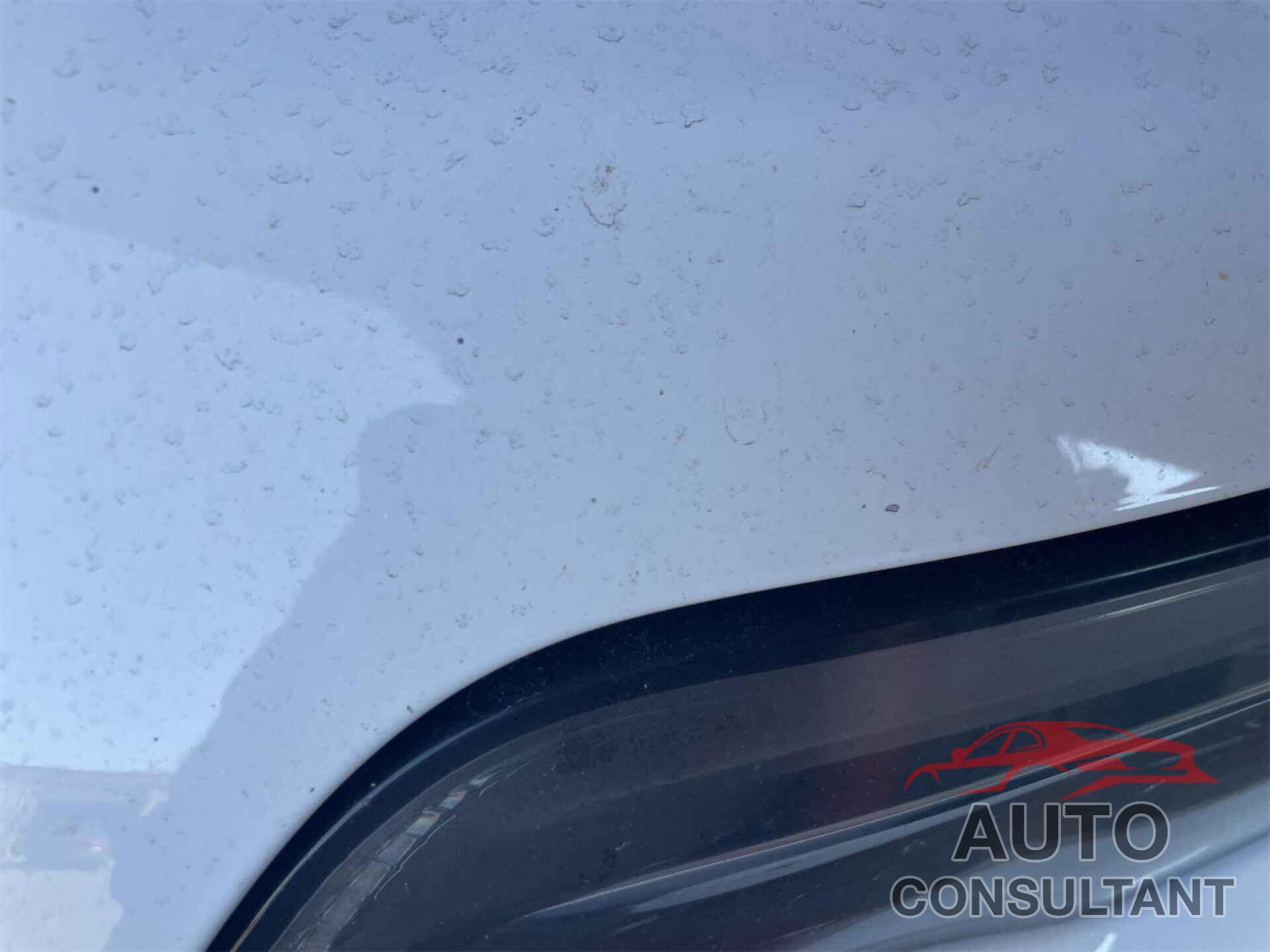 JEEP CHEROKEE 2021 - 1C4PJLLB3MD226896