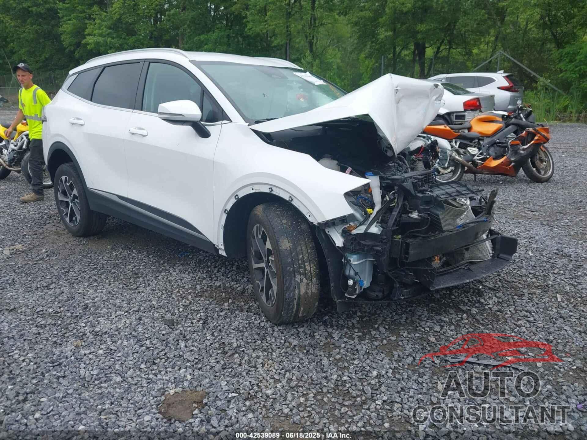 KIA SPORTAGE 2024 - 5XYK3CDF6RG172587