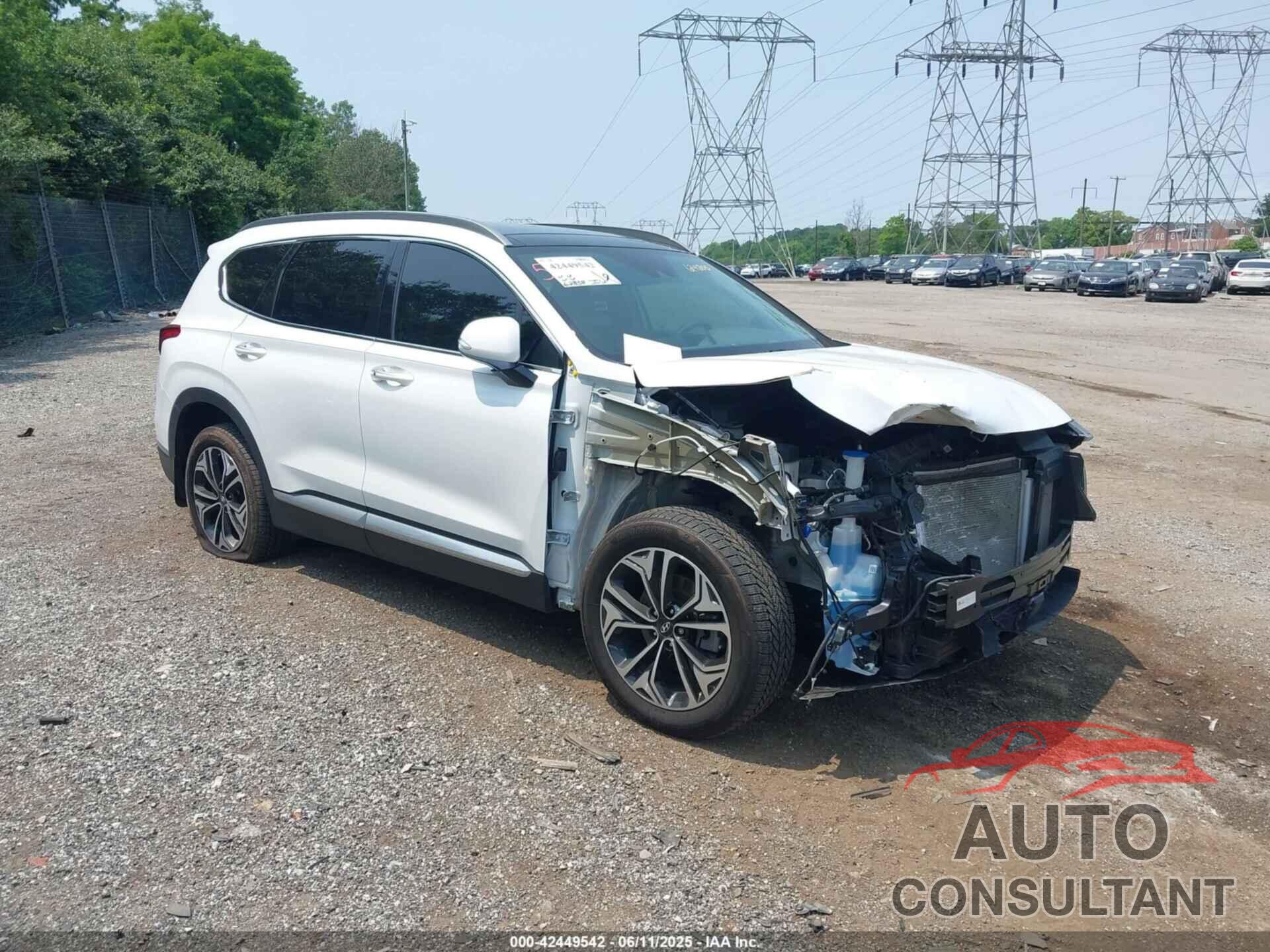 HYUNDAI SANTA FE 2019 - 5NMS5CAA5KH124805