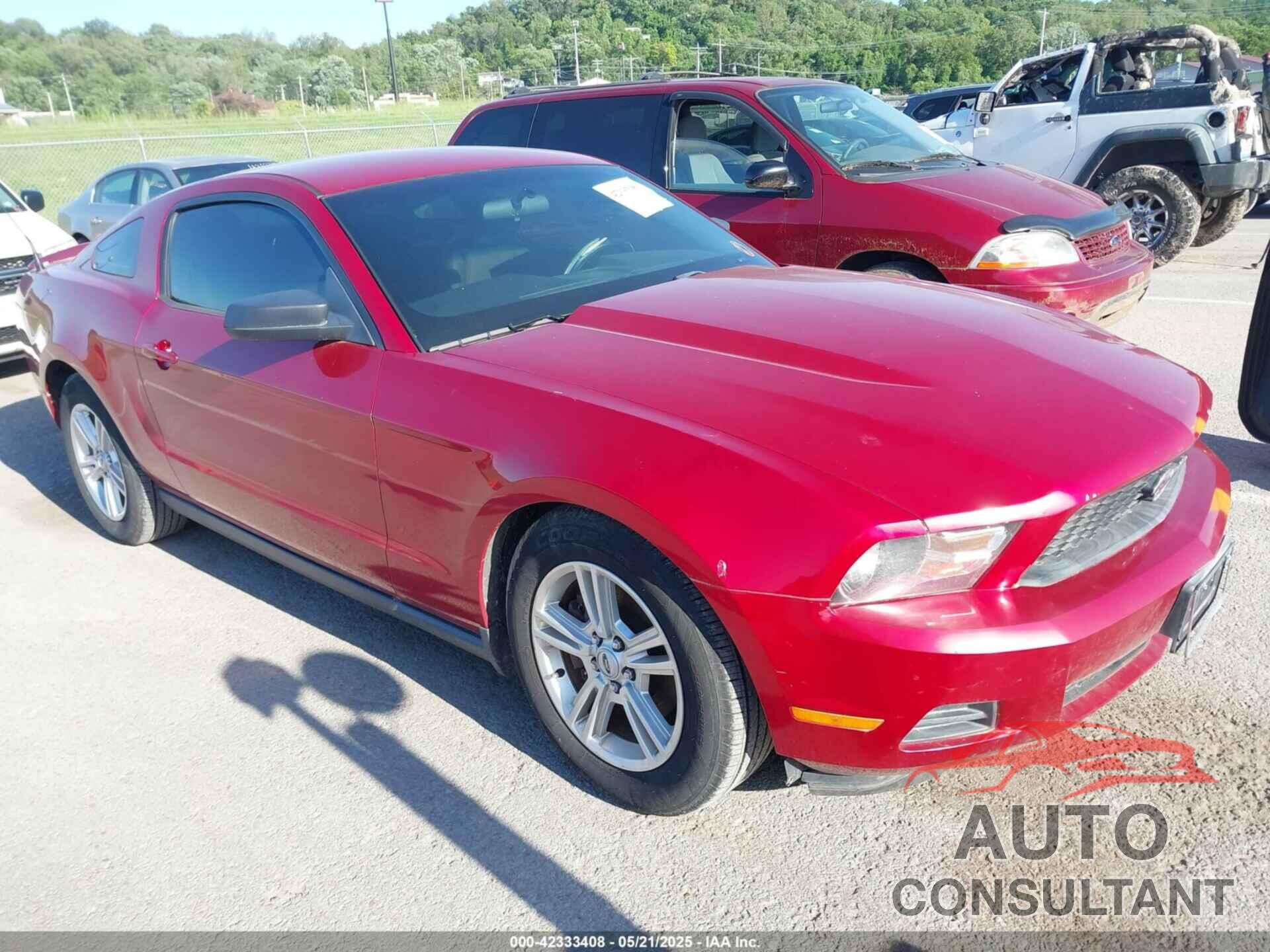 FORD MUSTANG 2011 - 1ZVBP8AMXB5165352