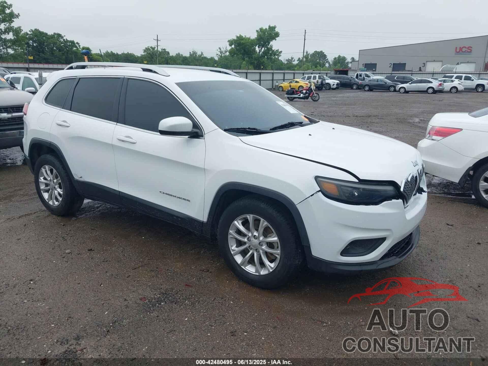 JEEP CHEROKEE 2019 - 1C4PJLCBXKD175667