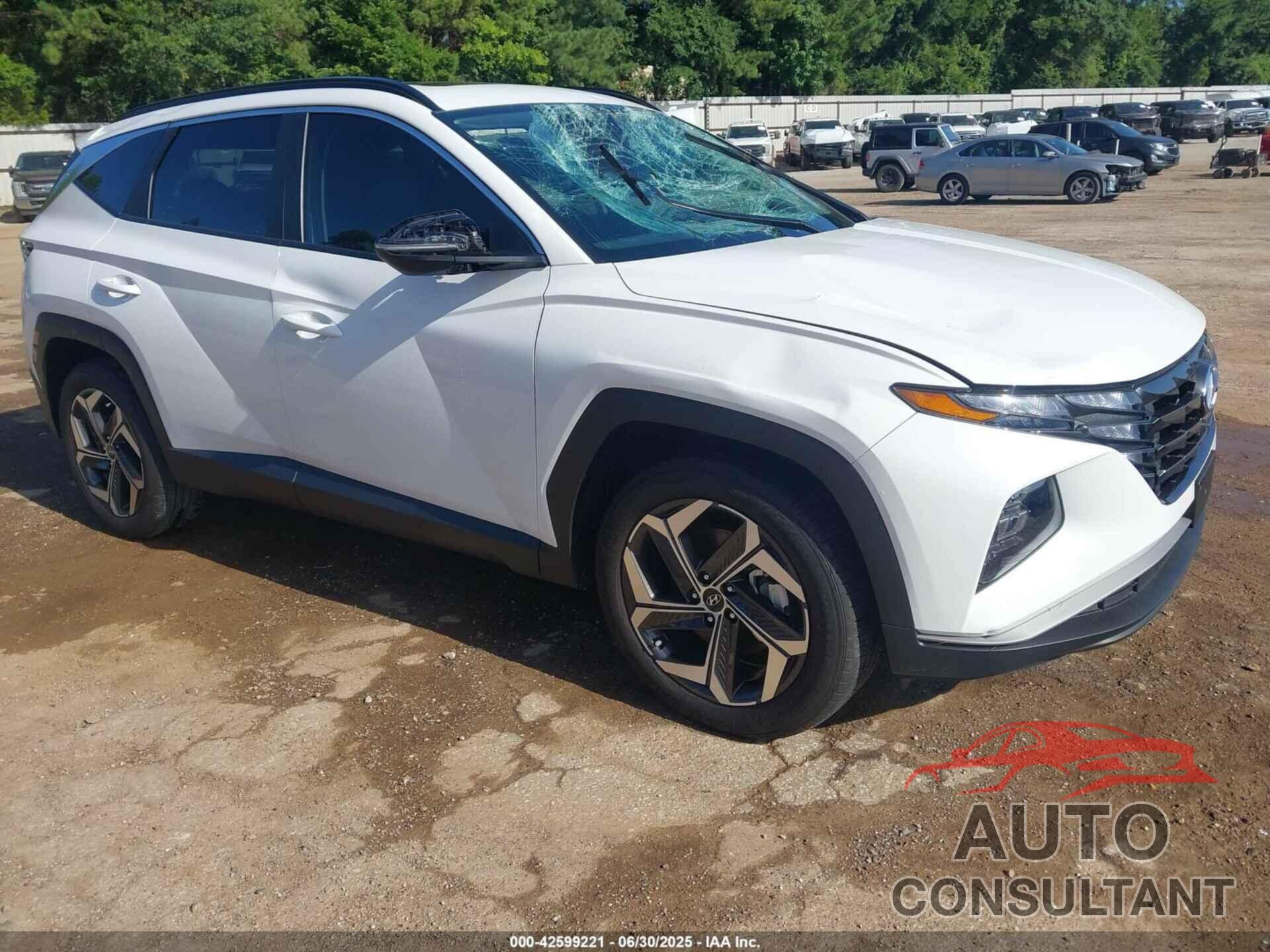 HYUNDAI TUCSON 2024 - 5NMJF3DE2RH404201