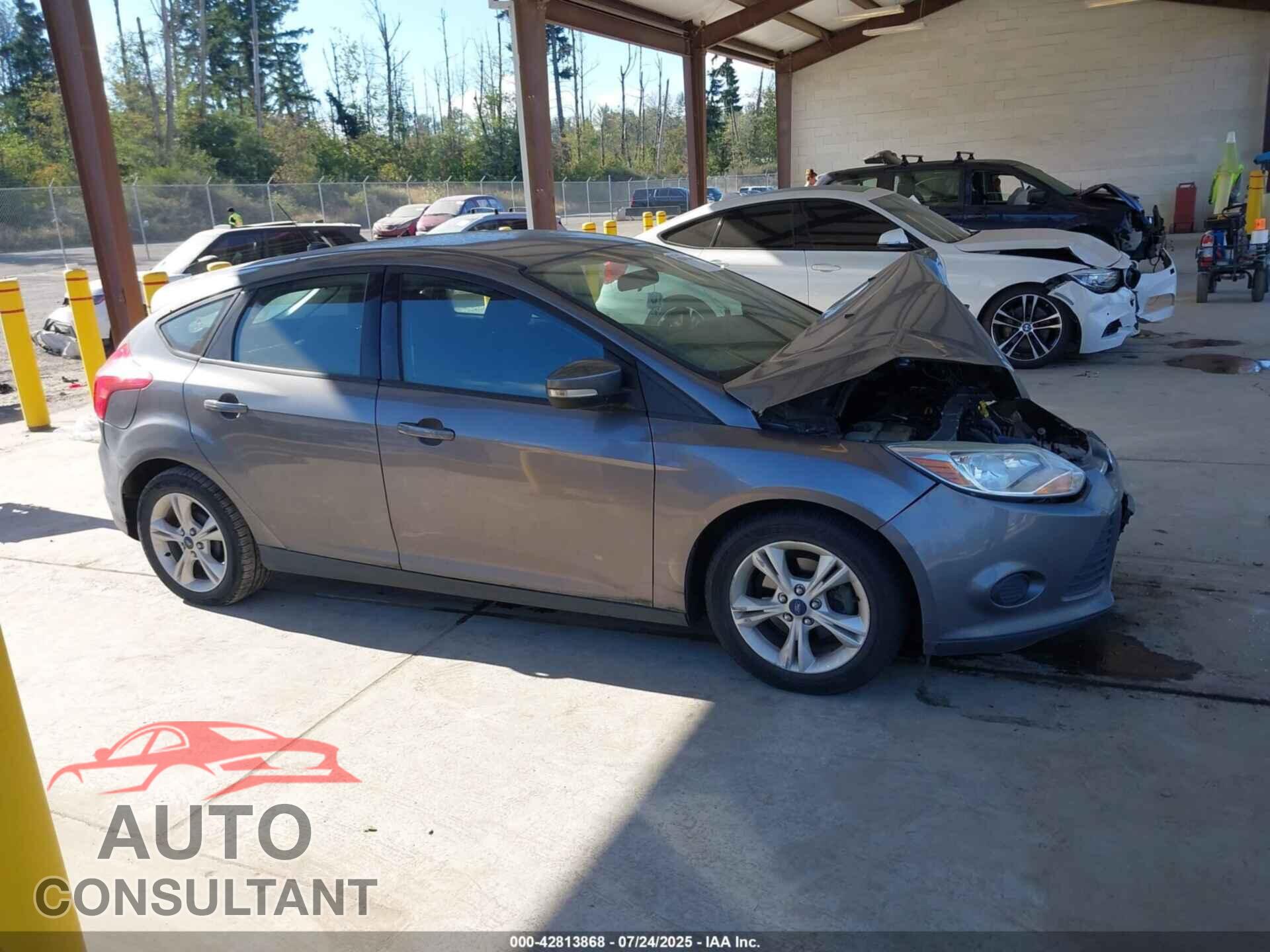 FORD FOCUS 2014 - 1FADP3K21EL399848
