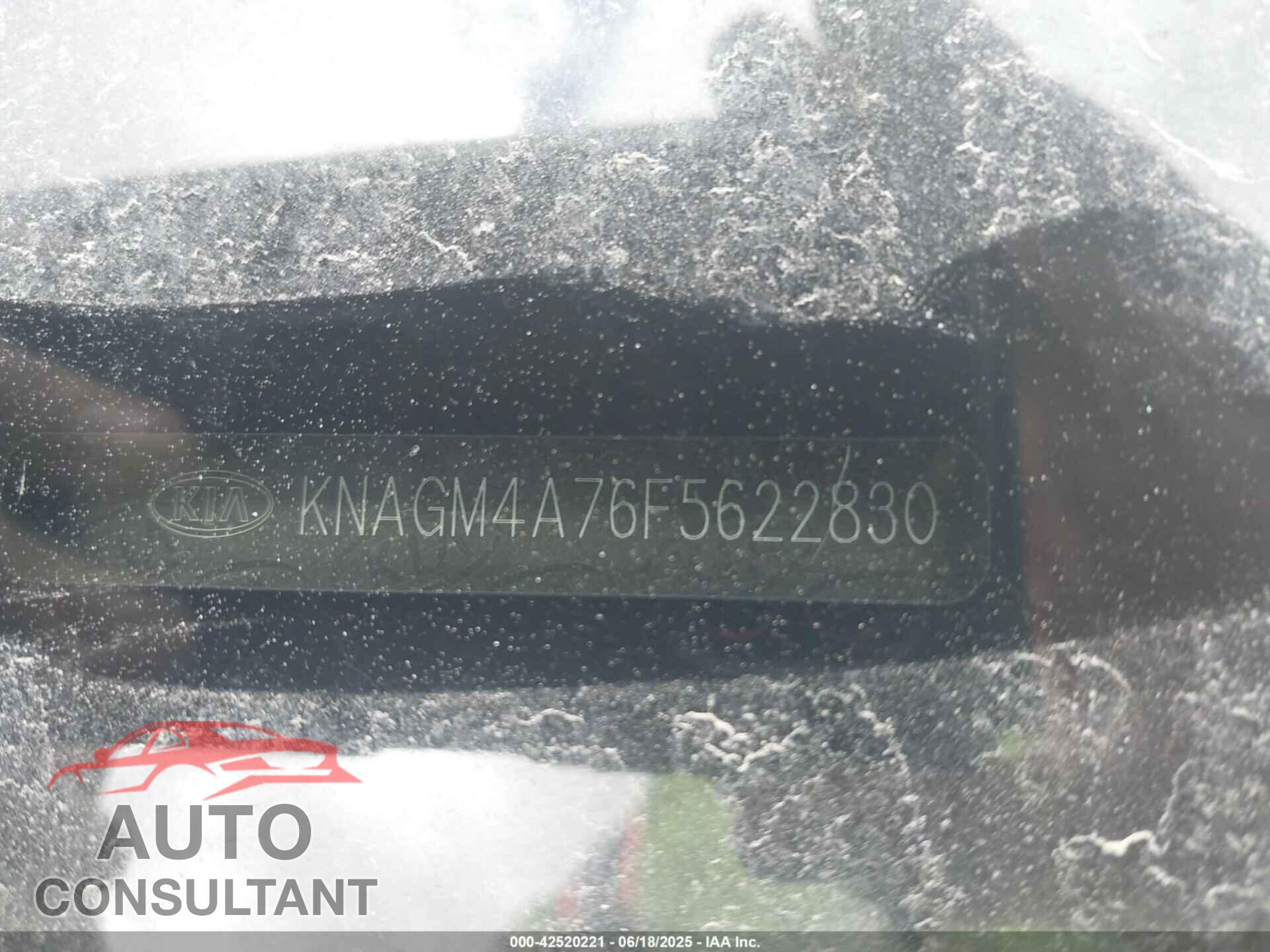 KIA OPTIMA 2015 - KNAGM4A76F5622830