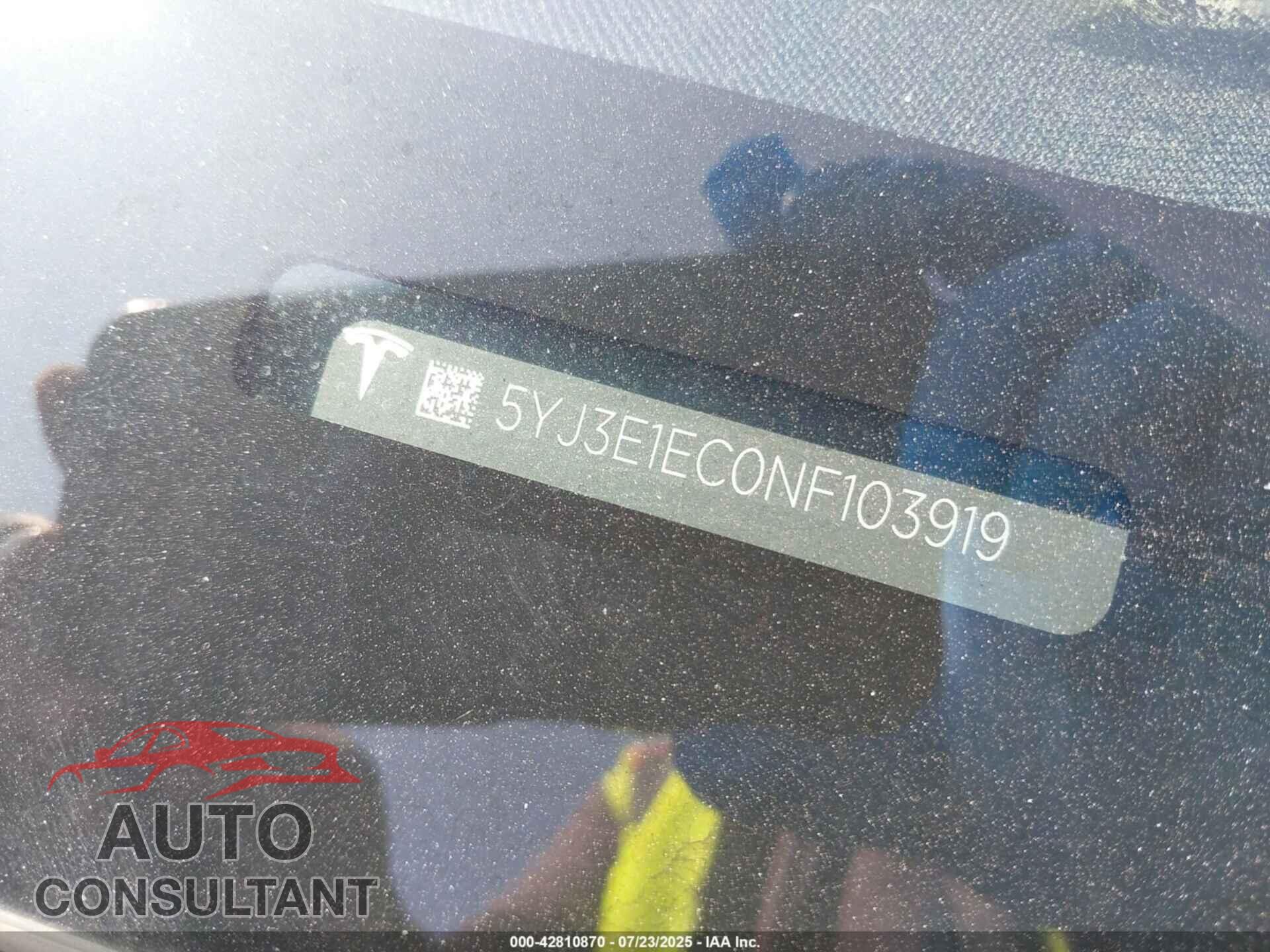TESLA MODEL 3 2022 - 5YJ3E1EC0NF103919