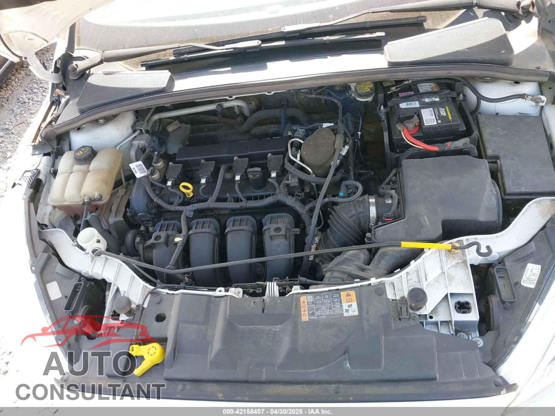 FORD FOCUS 2015 - 1FADP3F26FL316636