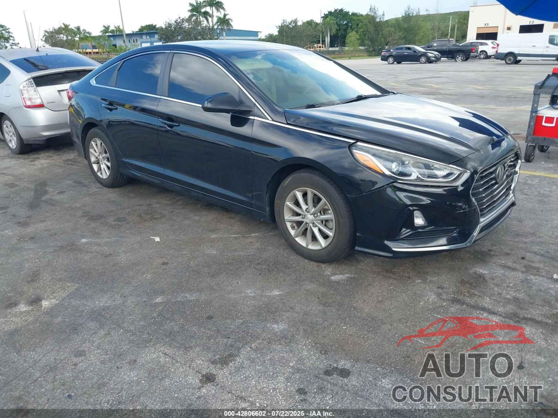 HYUNDAI SONATA 2019 - 5NPE24AF2KH807457