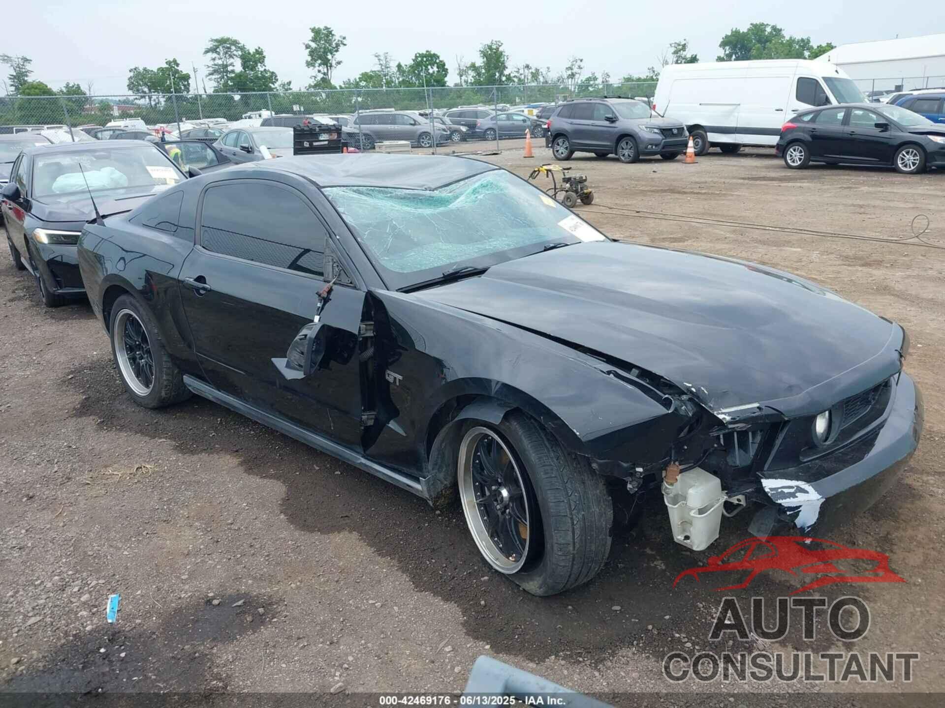 FORD MUSTANG 2010 - 1ZVBP8CH9A5117369