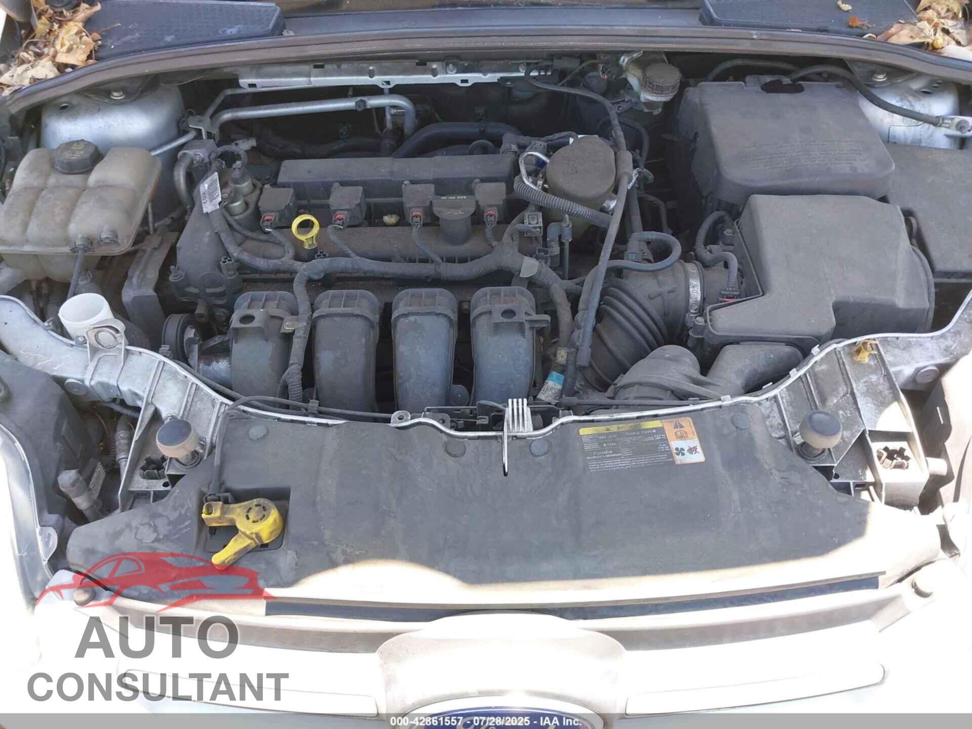 FORD FOCUS 2014 - 1FADP3K22EL200547