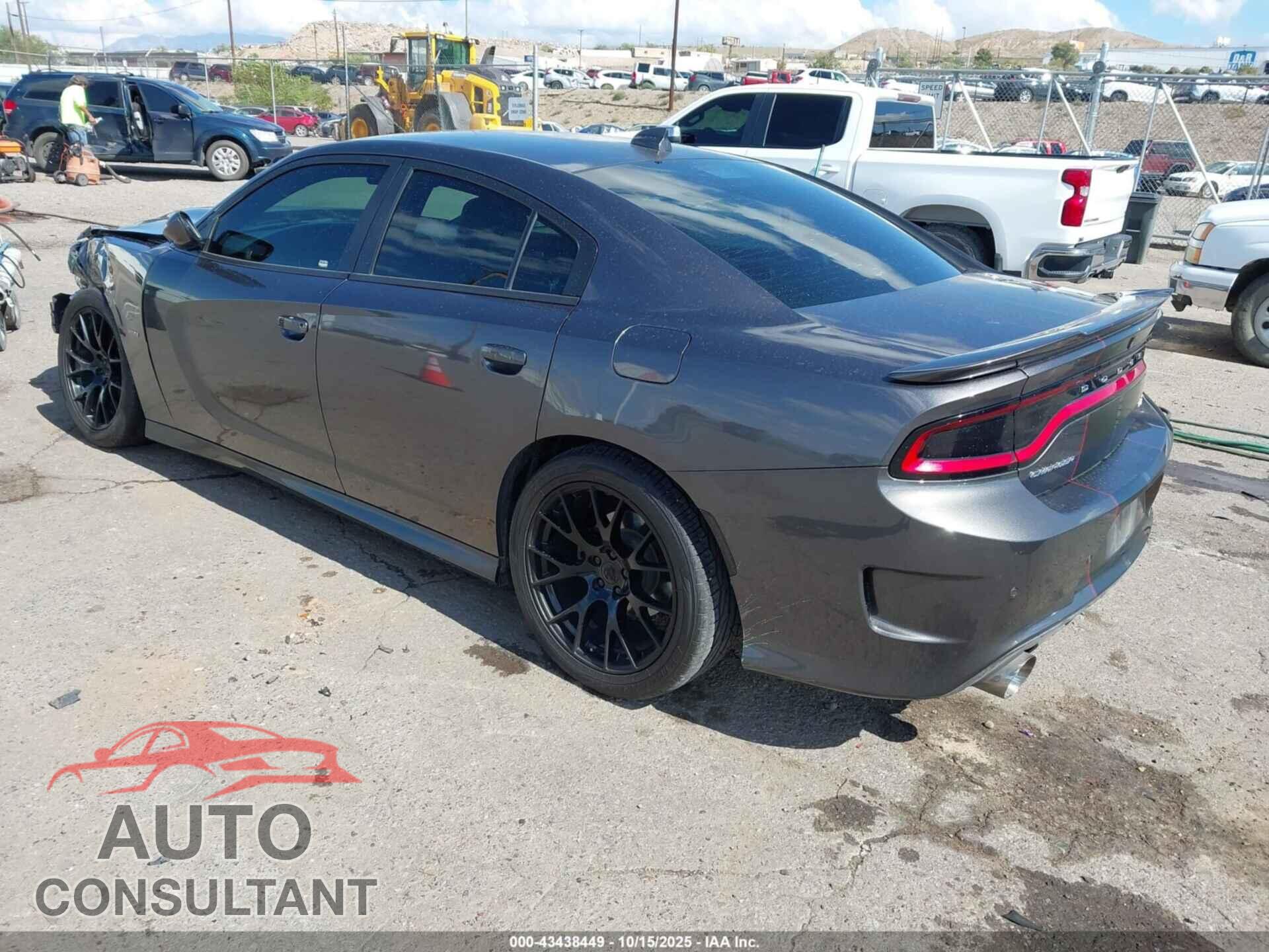 DODGE CHARGER 2019 - 2C3CDXCTXKH737113