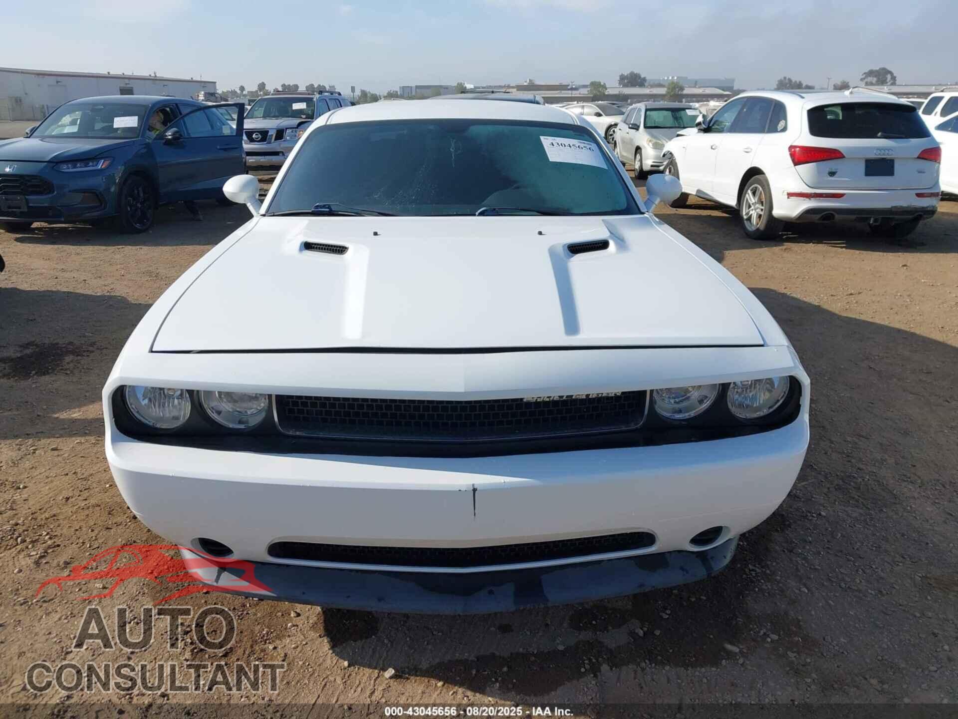 DODGE CHALLENGER 2013 - 2C3CDYAG0DH648729